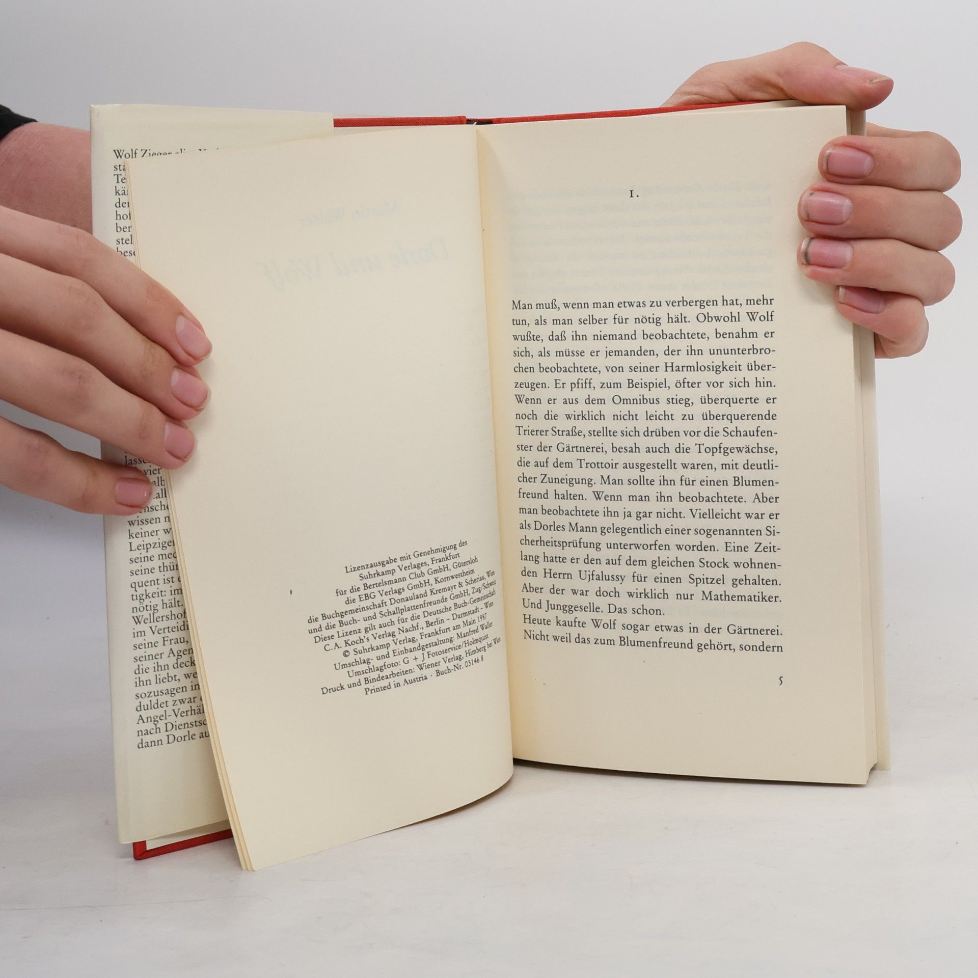 Martin Walser Dorle und Wolf