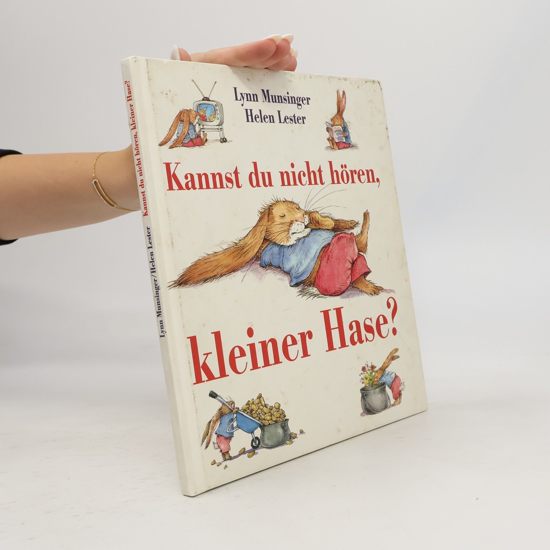 Lynn Munsinger Kannst du nicht hören, kleiner Hase?
