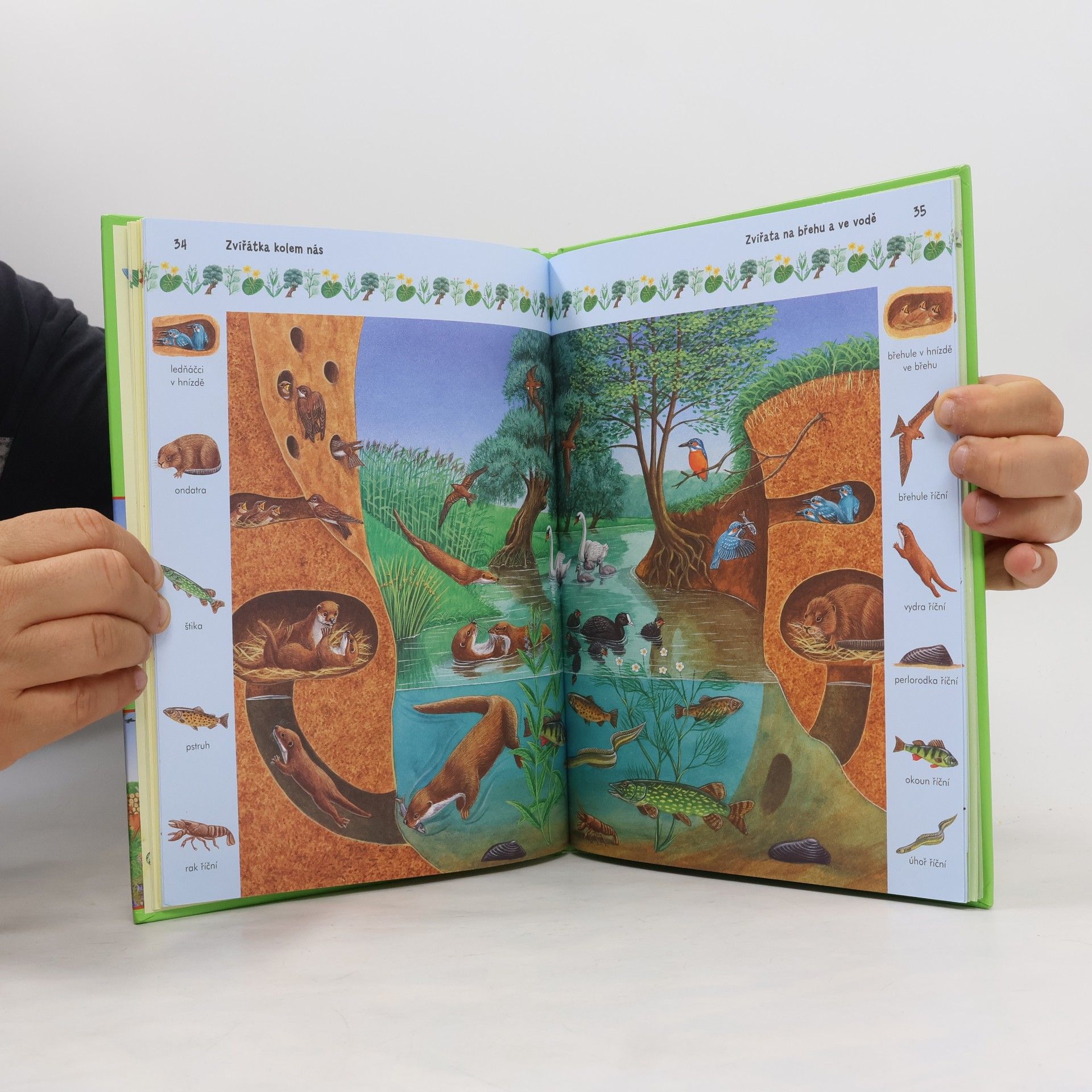 Autores varios Zvířátka kolem nás : čtení o zvířátkách s velkými písmeny