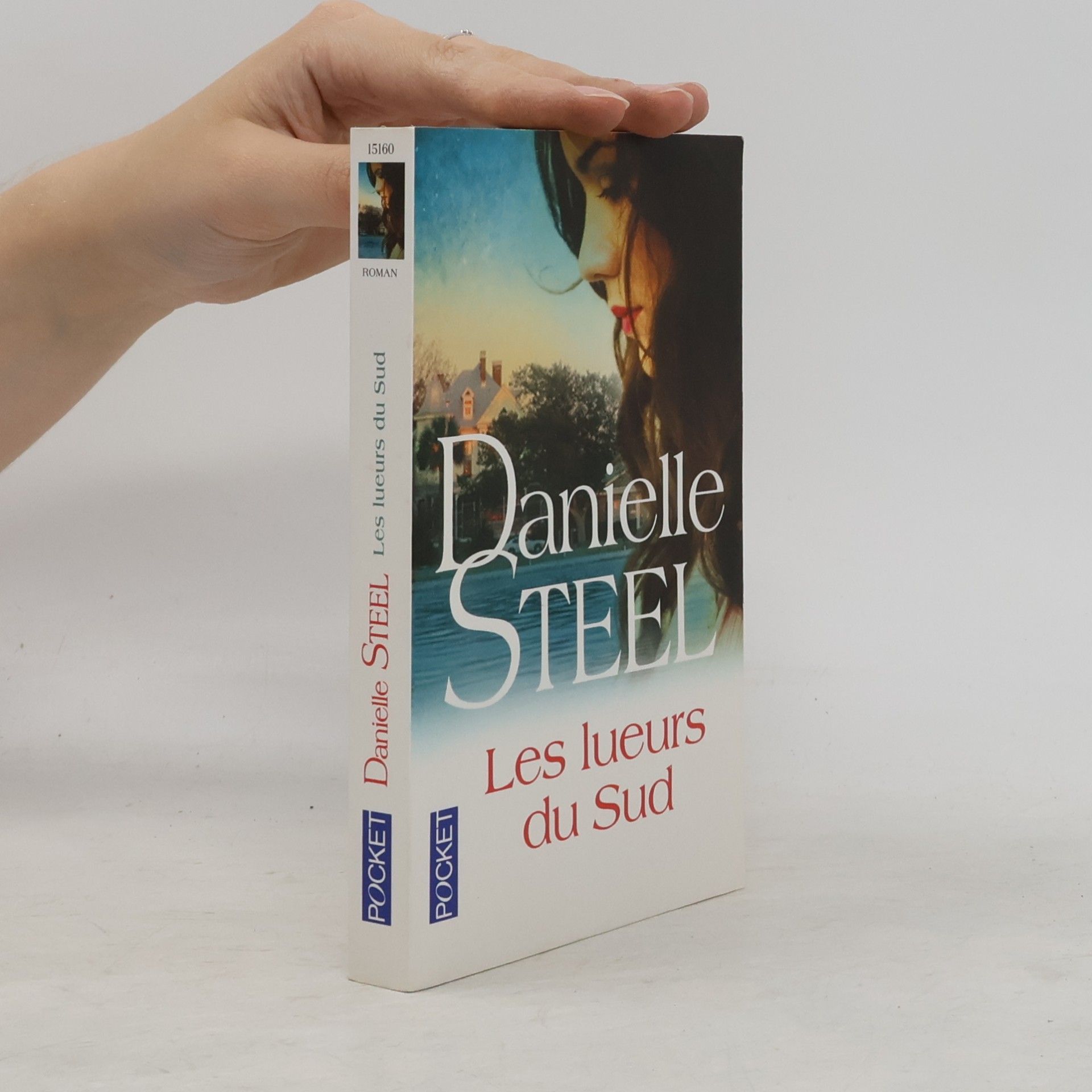Danielle Steel Les lueurs du sud