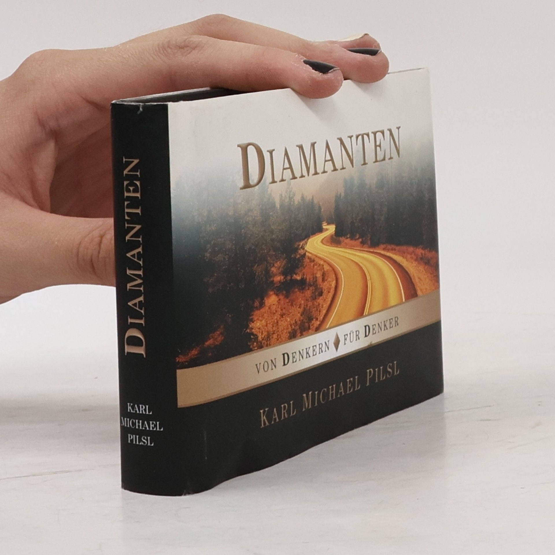 Karl Michael Pilsl Diamanten von Denkern - für Denker