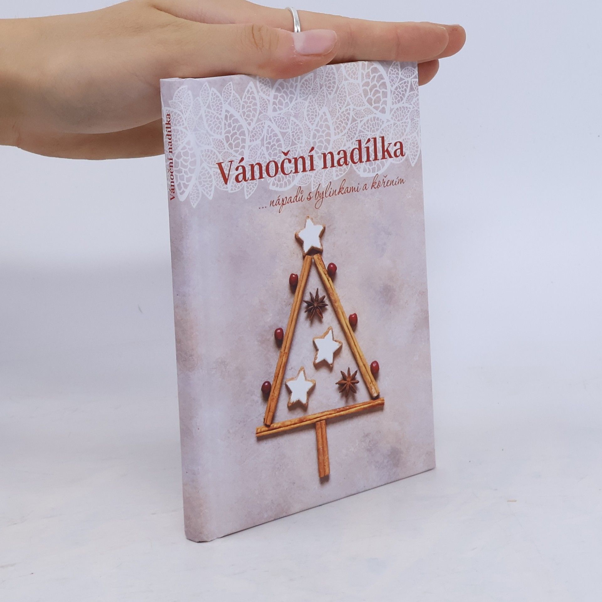 Dagmar Pinkasová Vánoční nadílka...nápadů s bylinkami a kořením