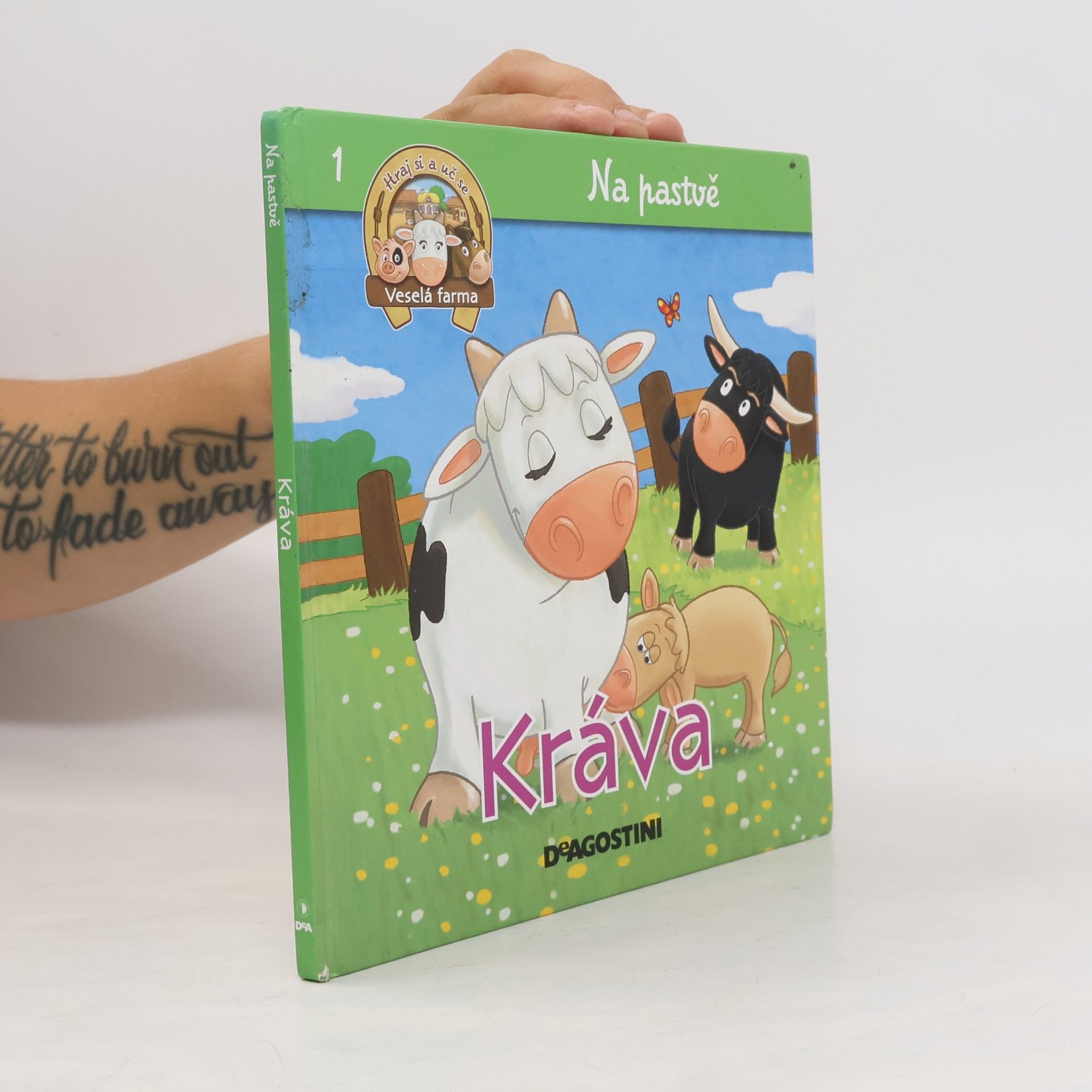 Tereza Vlachová Kráva, tele, býk a vůl