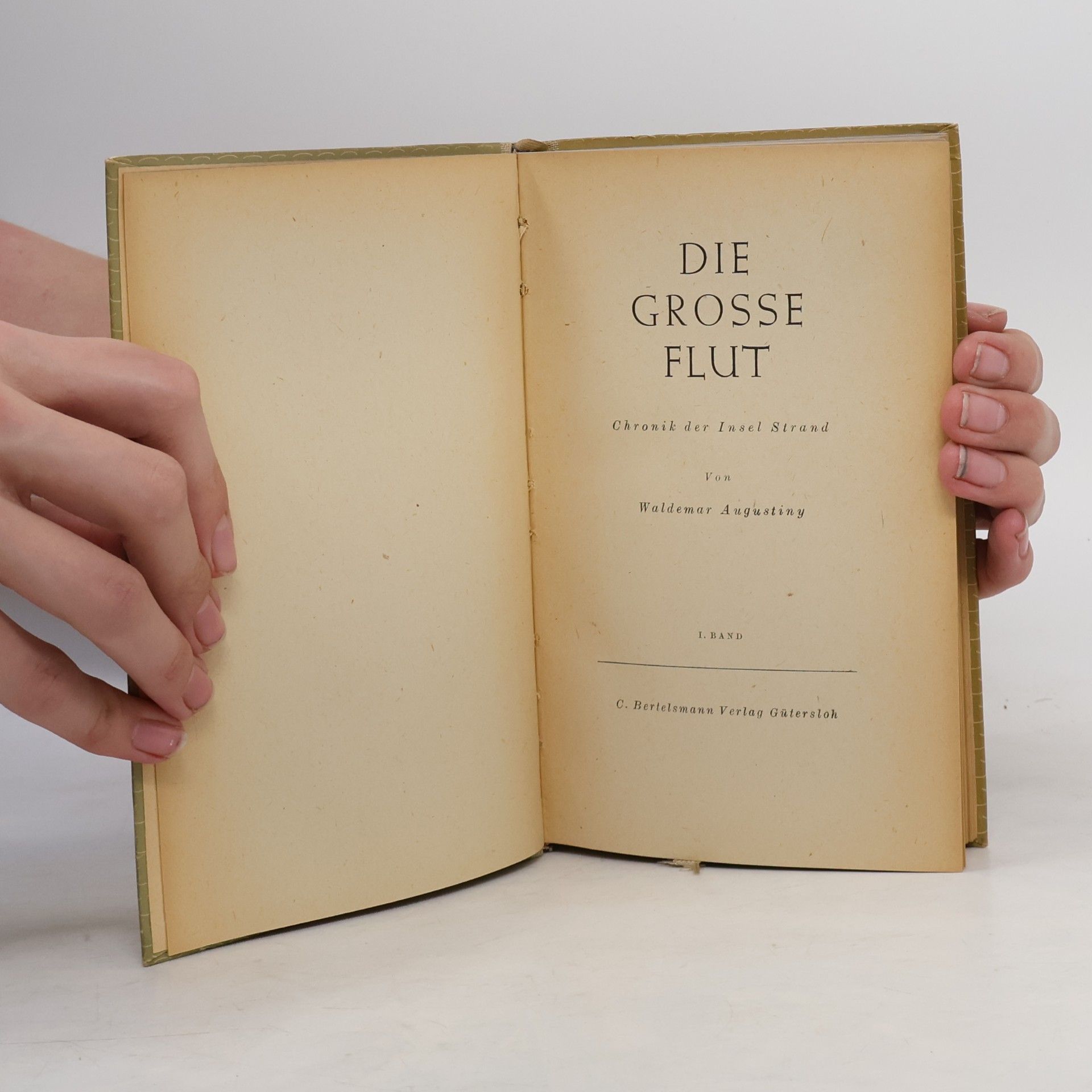 Waldemar Augustiny Die grosse Flut I.