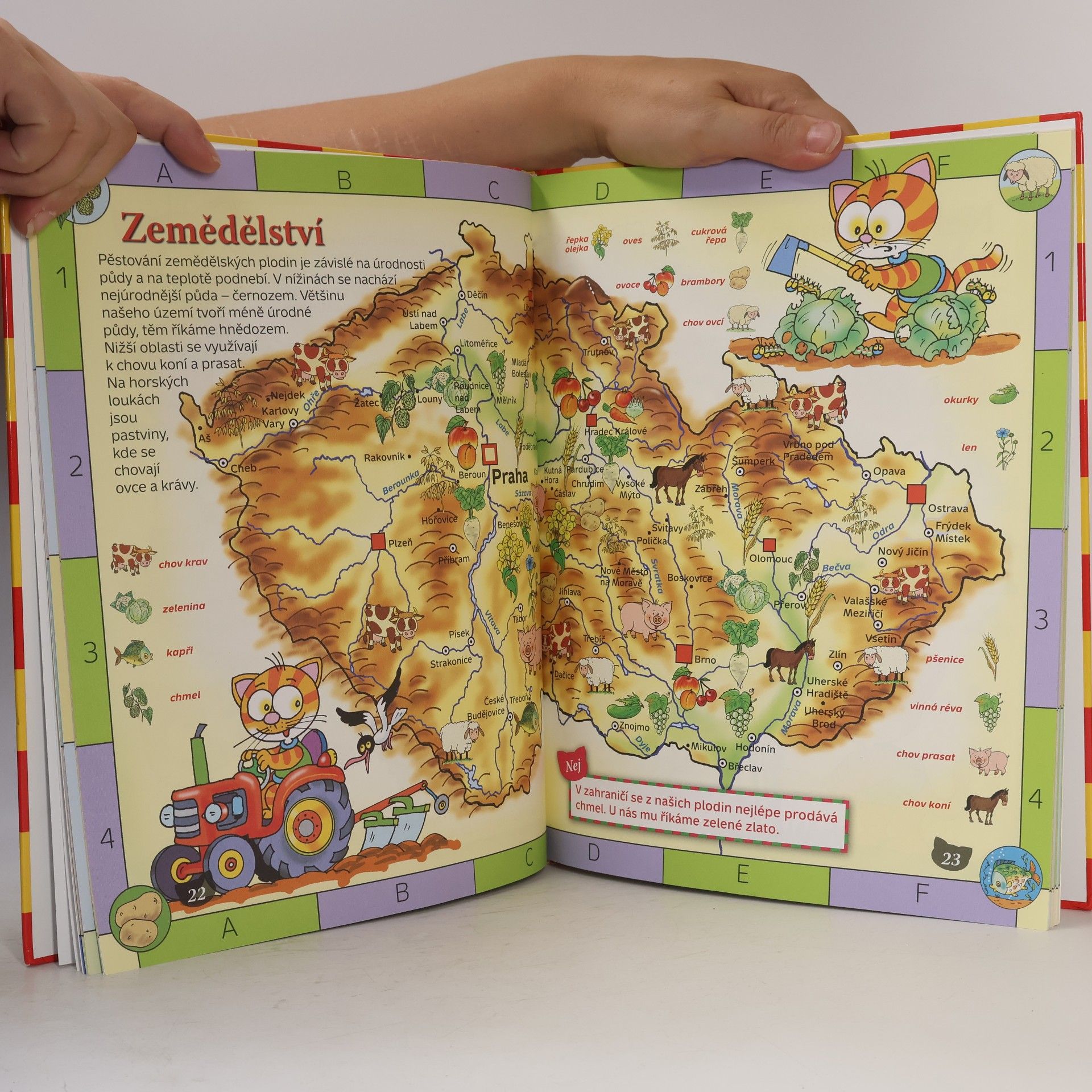 Petra Fantová Česká republika: Ilustrovaný atlas pro malé školáky