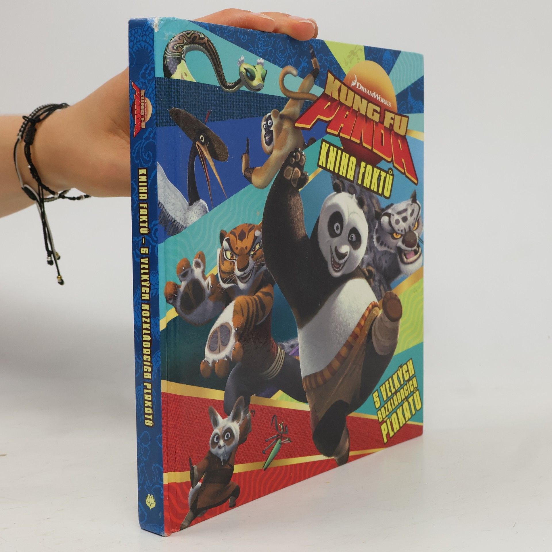 Dagmar Brejlová Kung Fu Panda : kniha faktů
