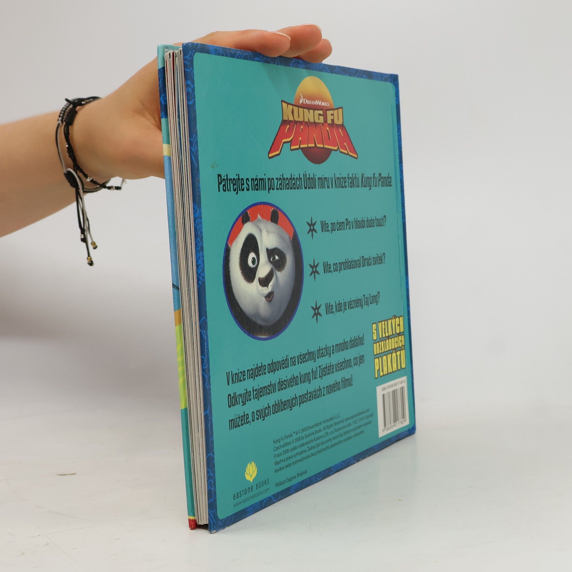 Dagmar Brejlová Kung Fu Panda : kniha faktů