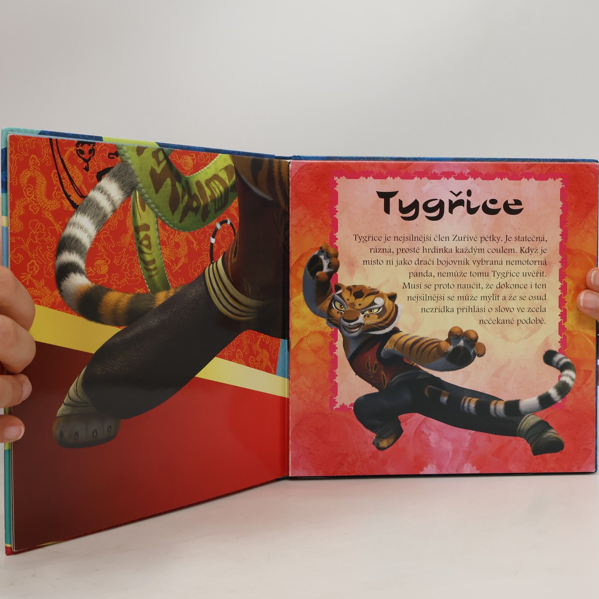 Dagmar Brejlová Kung Fu Panda : kniha faktů