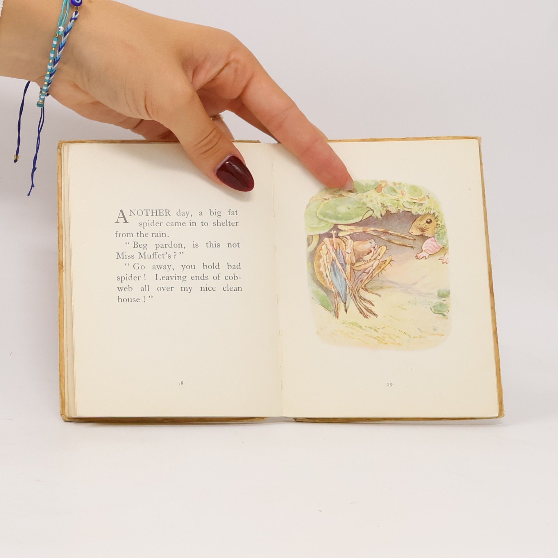 Beatrix Potterová The Tale of Mrs. Titlemouse