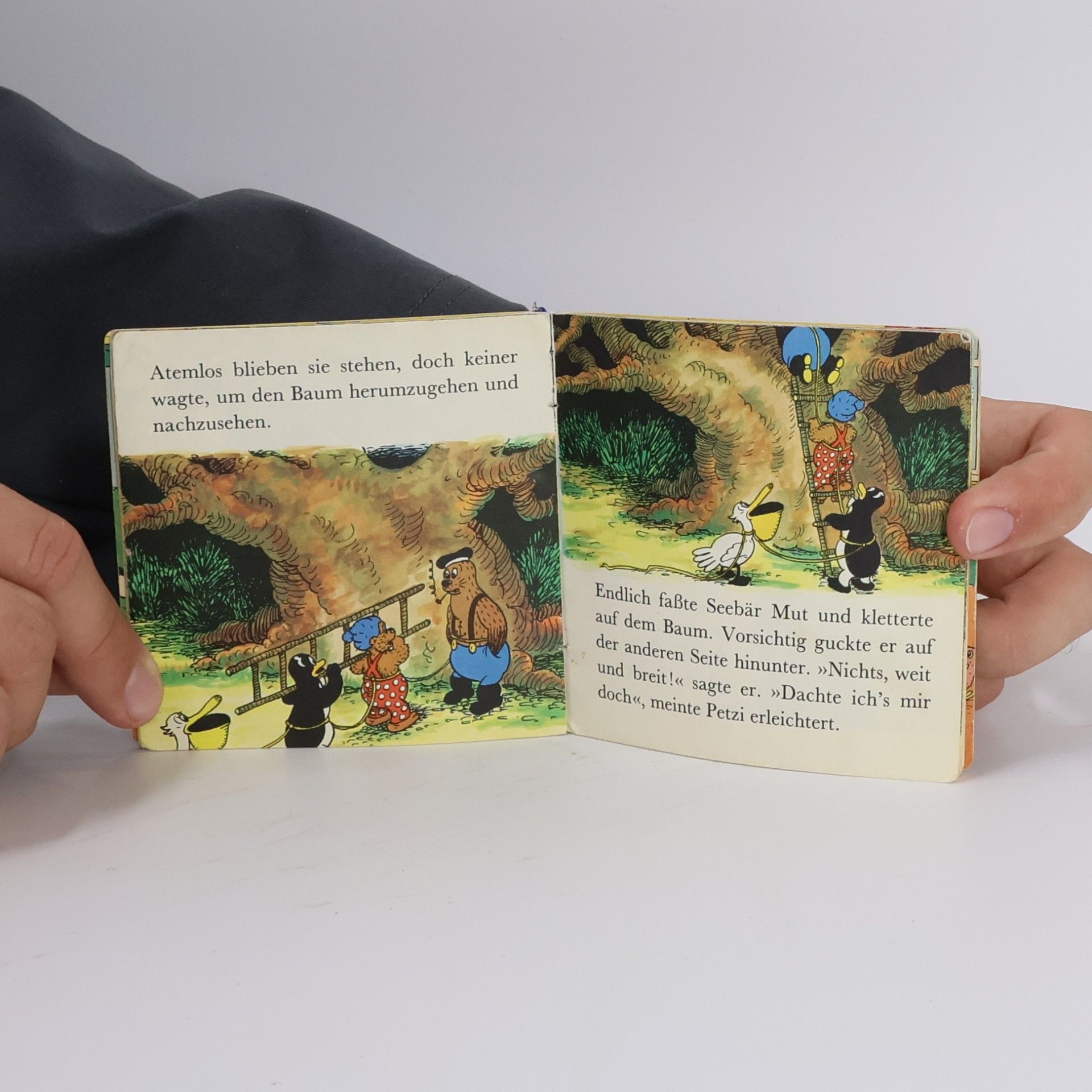 Carla Hansen Petzi und der Kobold