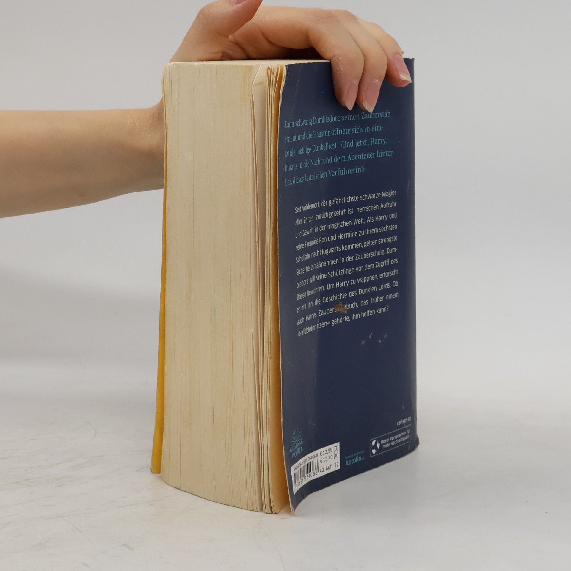 Fritz-Klaus Kochan Harry Potter und der HalbblutpRinz