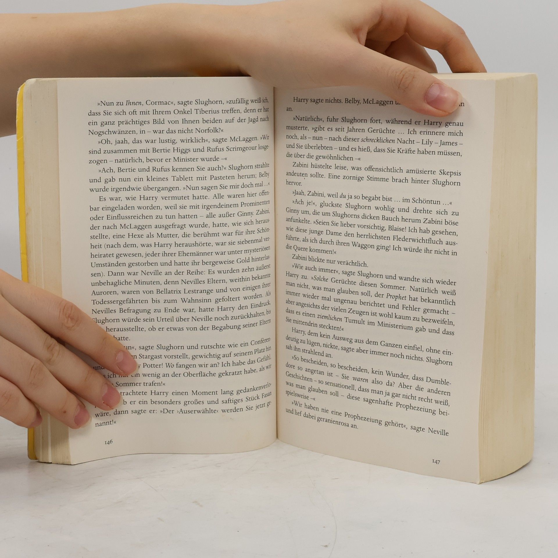 Fritz-Klaus Kochan Harry Potter und der HalbblutpRinz