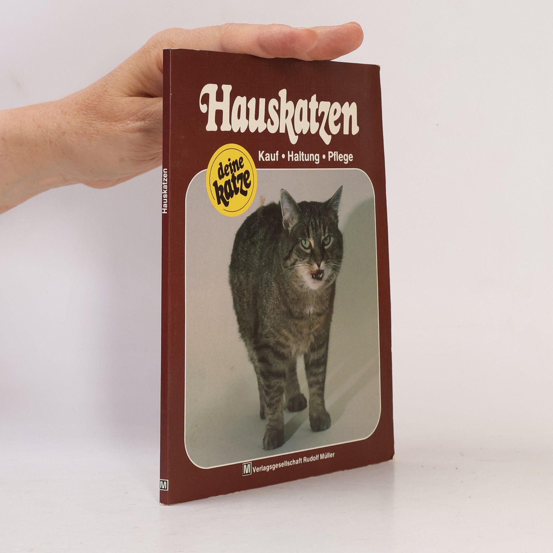 Egon Nieser Hauskatzen. Kauf, Haltung, Pflege.