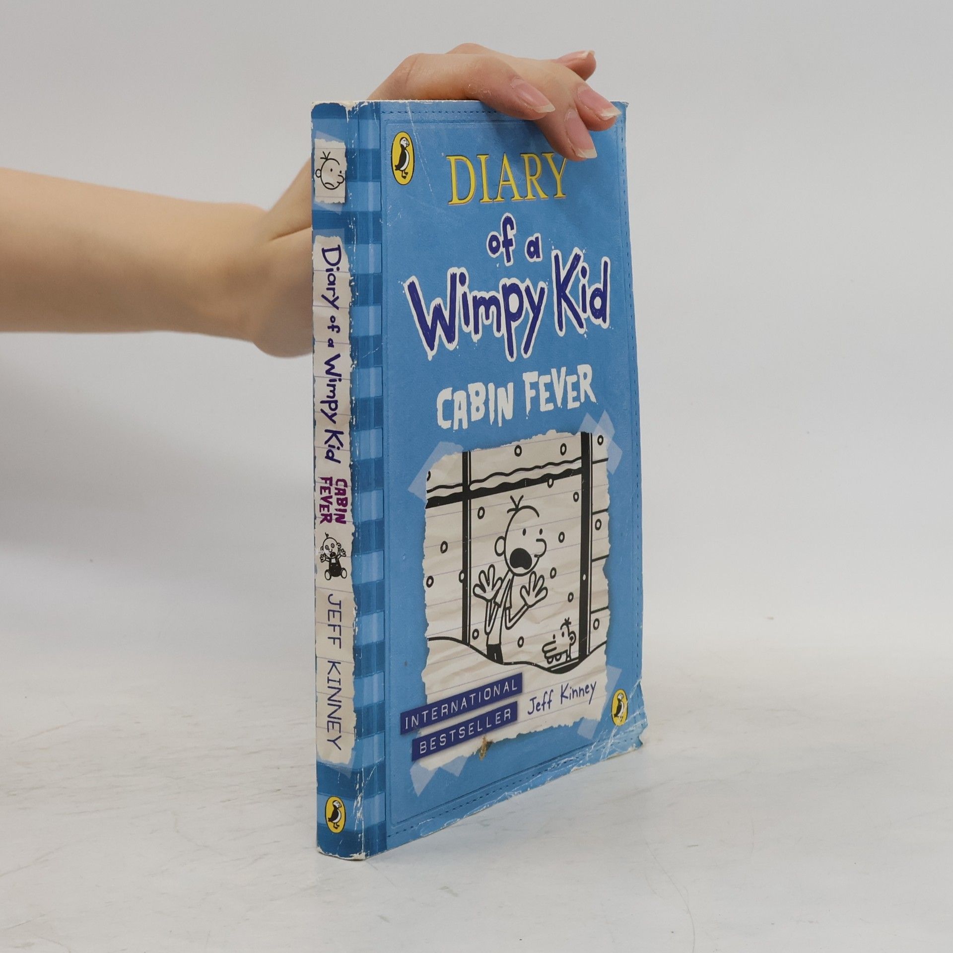 Jeff Kinney Diary of a Wimpy Kid. Cabin Fever