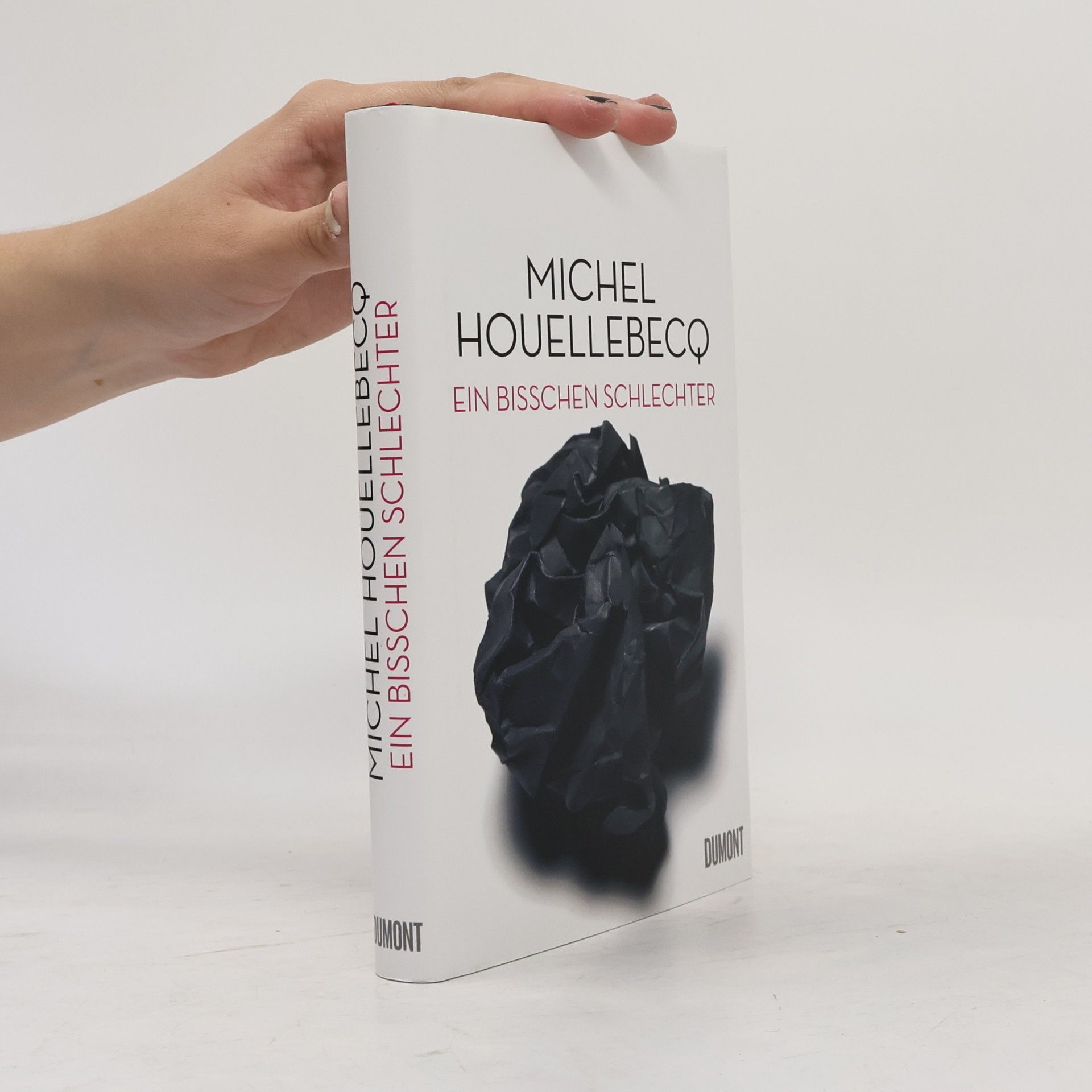 Michel Houellebecq Ein bisschen schlechter