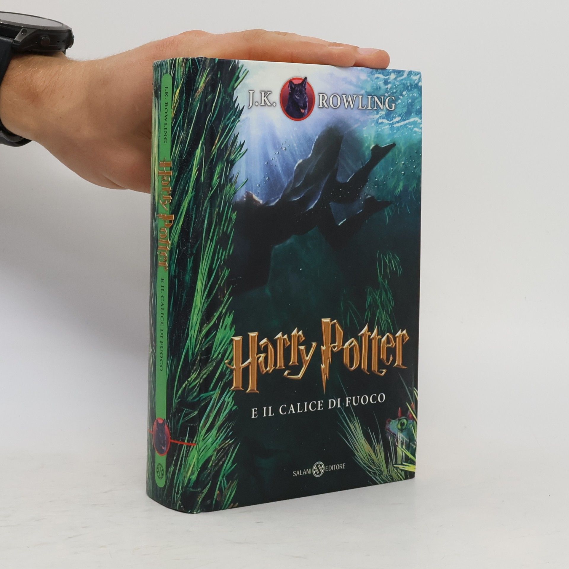 Joanne K. Rowling Harry Potter e il calice di fuoco