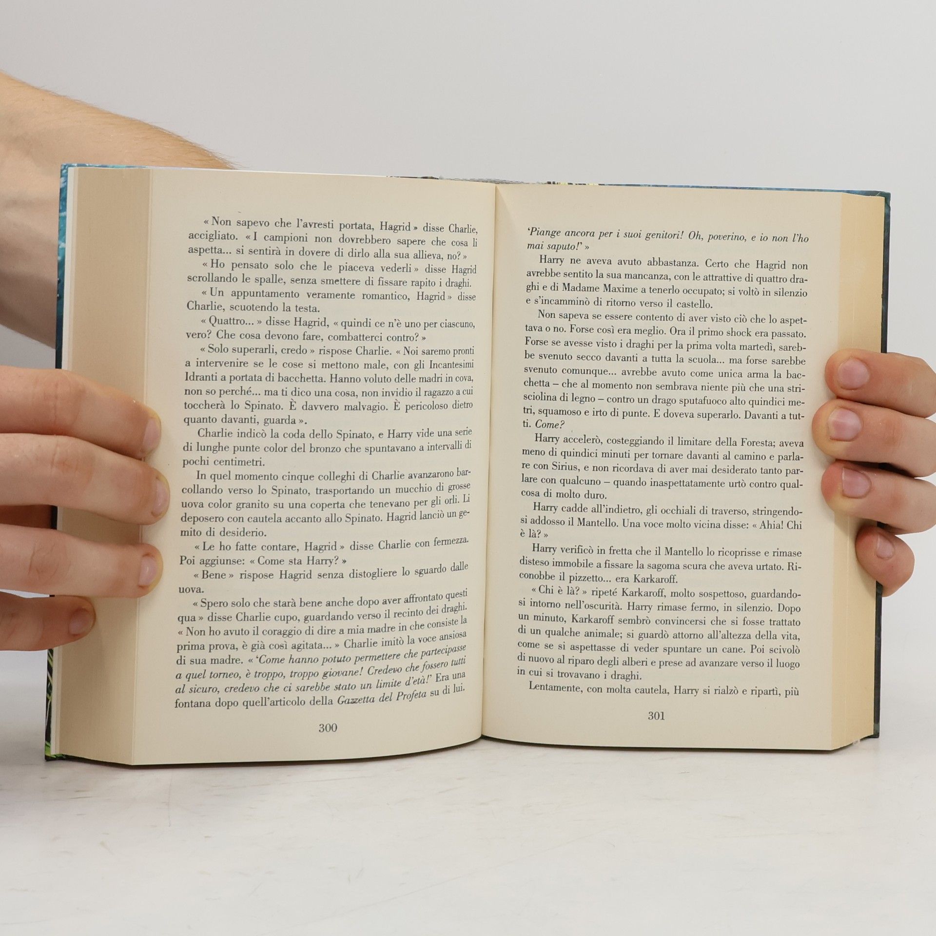 J. K. Rowling Harry Potter e il calice di fuoco