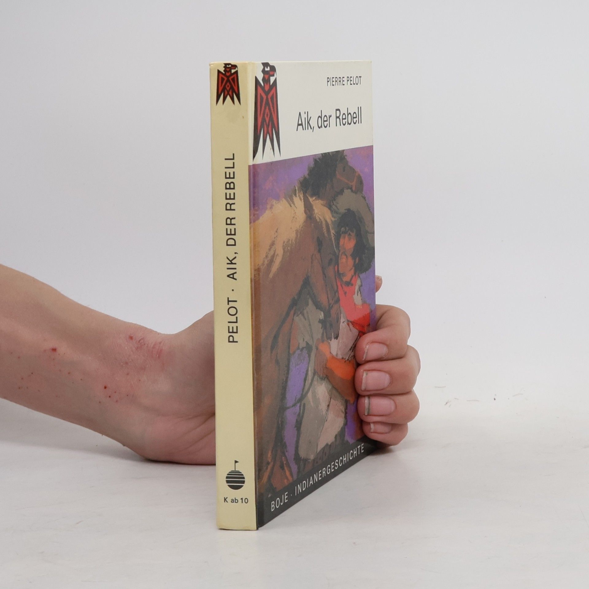 Pierre Pelot Aik, der Rebell