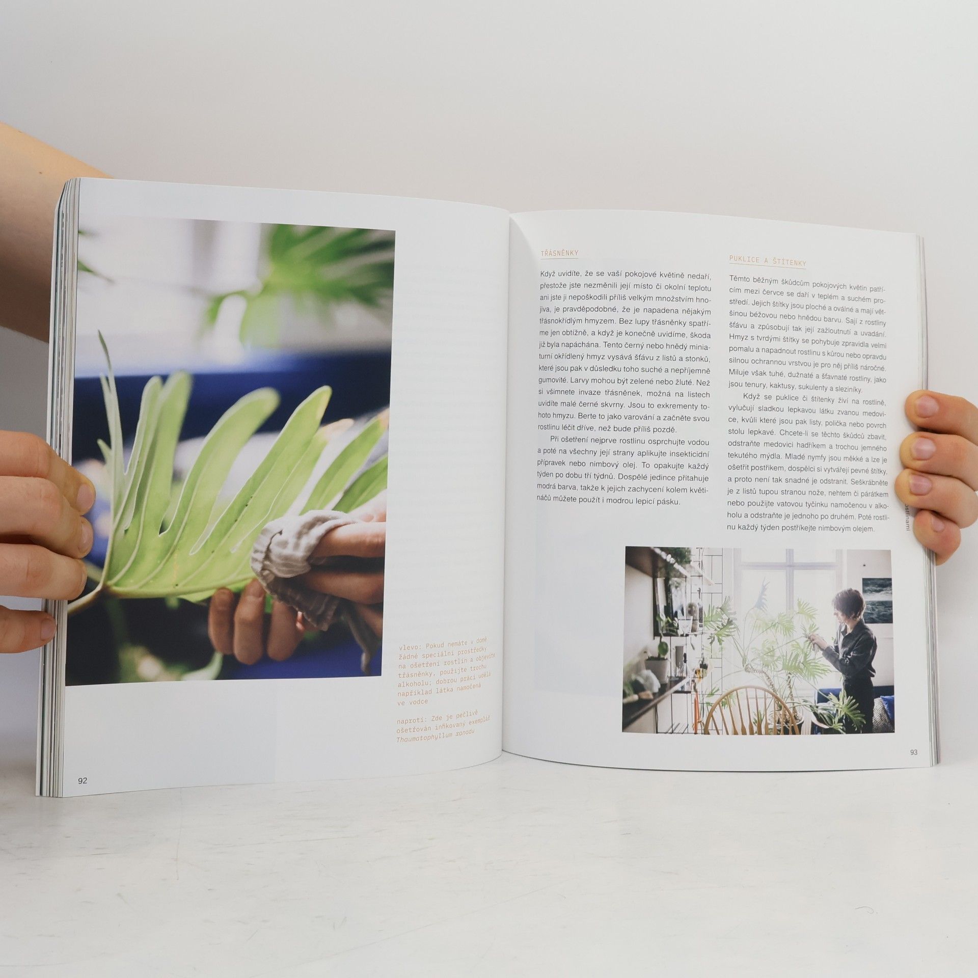 Igor Josifovic Plant Tribe