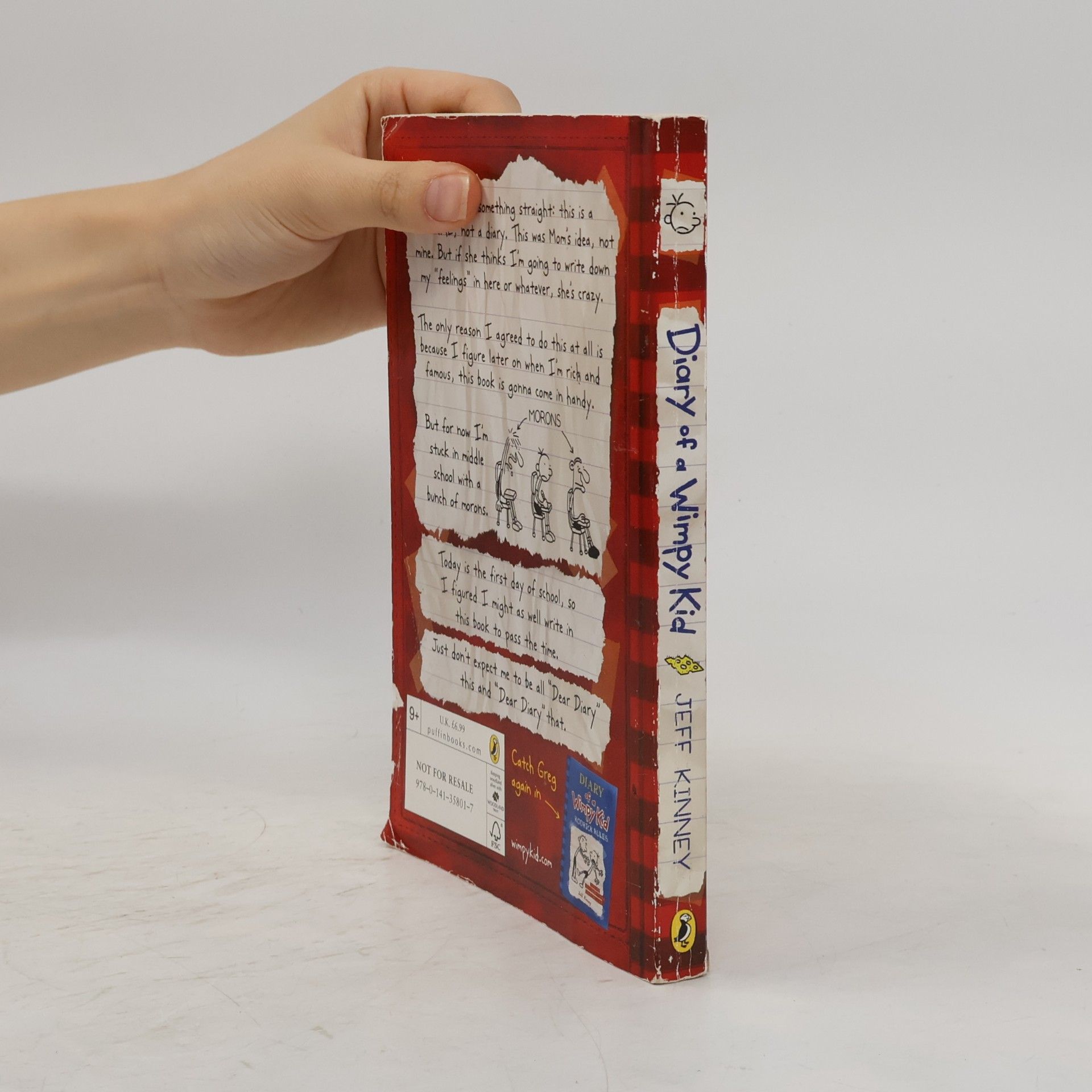 Jeff Kinney Diary of a Wimpy Kid 1