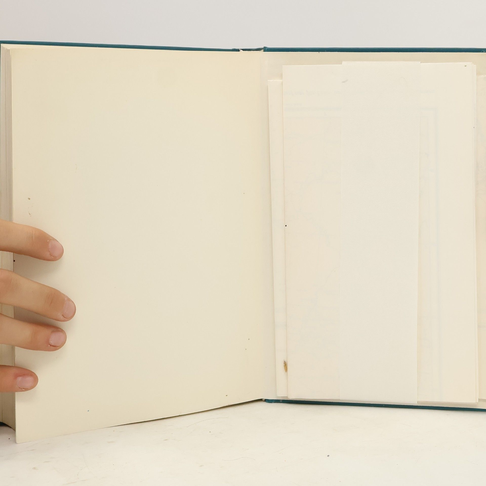 Autorenkollektiv Seemannschaft: Handbuch für den Yachtsport