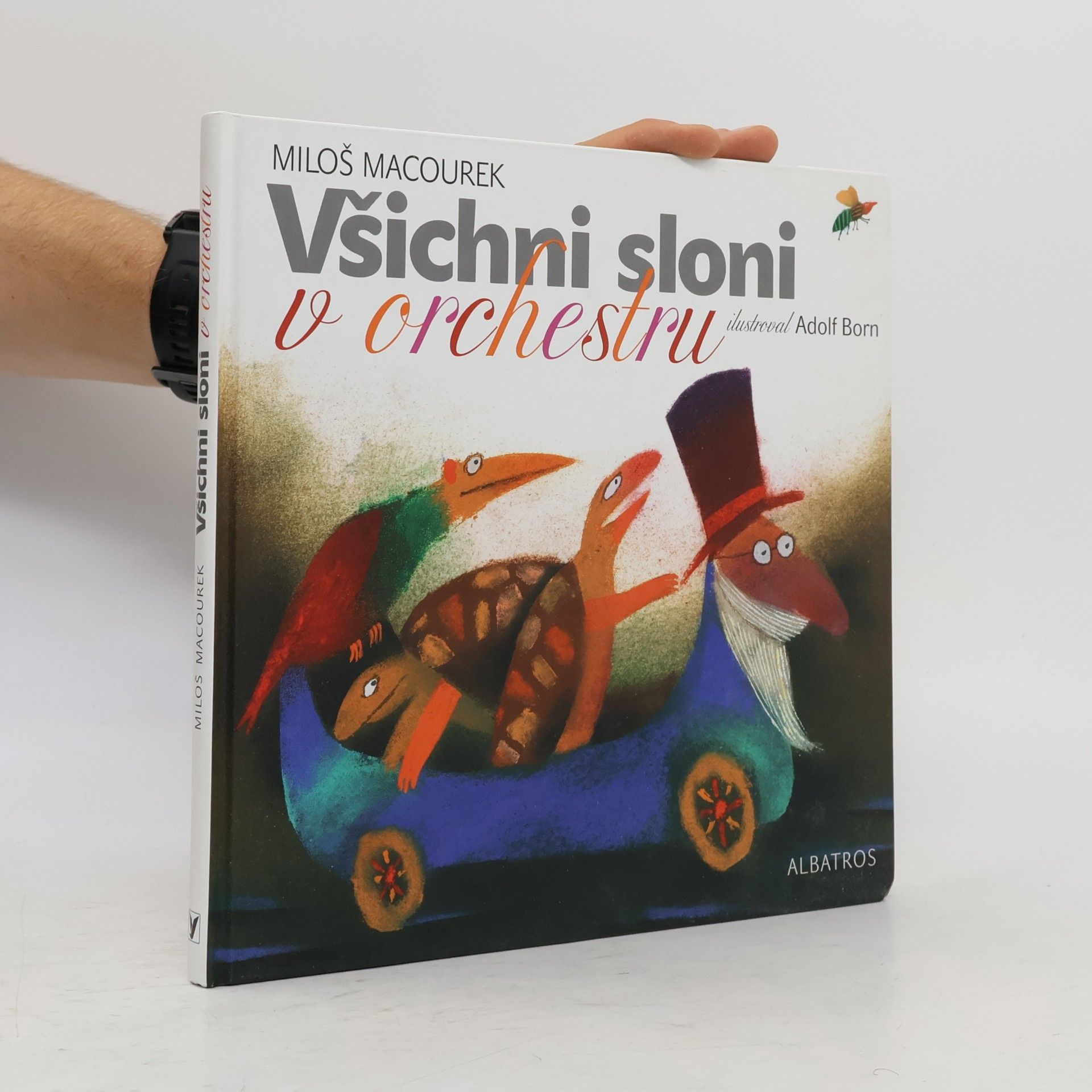 Všichni sloni v orchestru