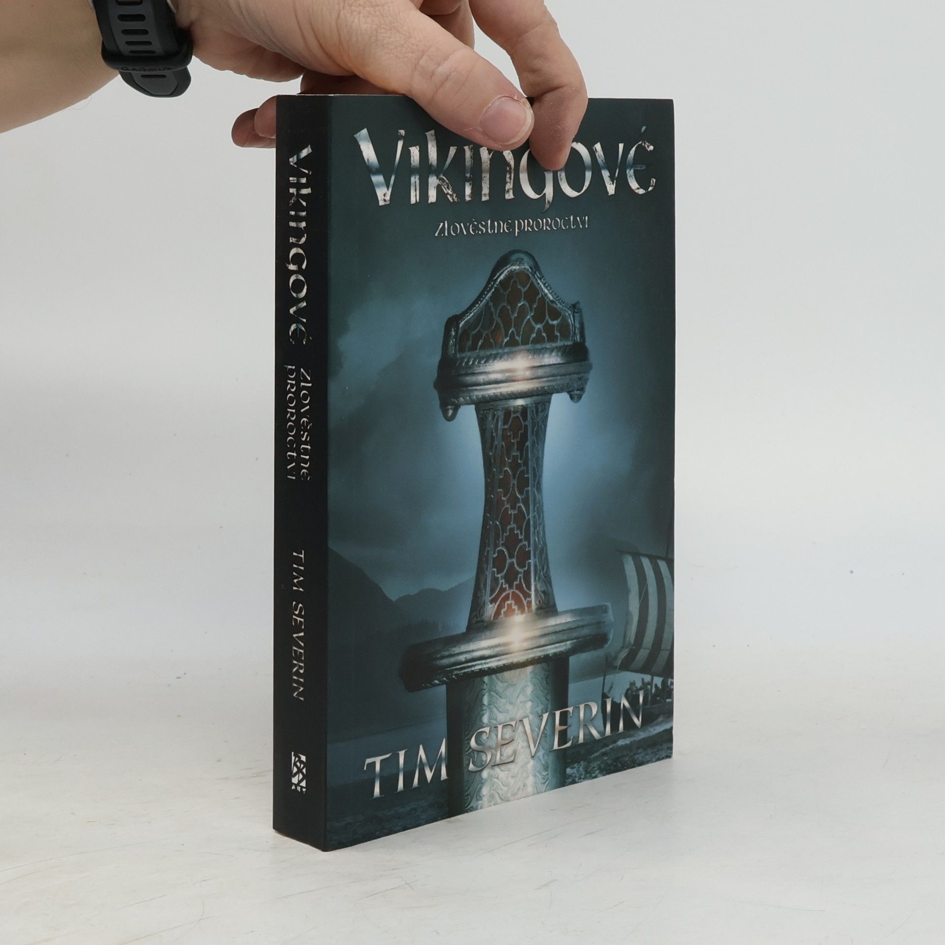 Tim Severin Vikingové 2