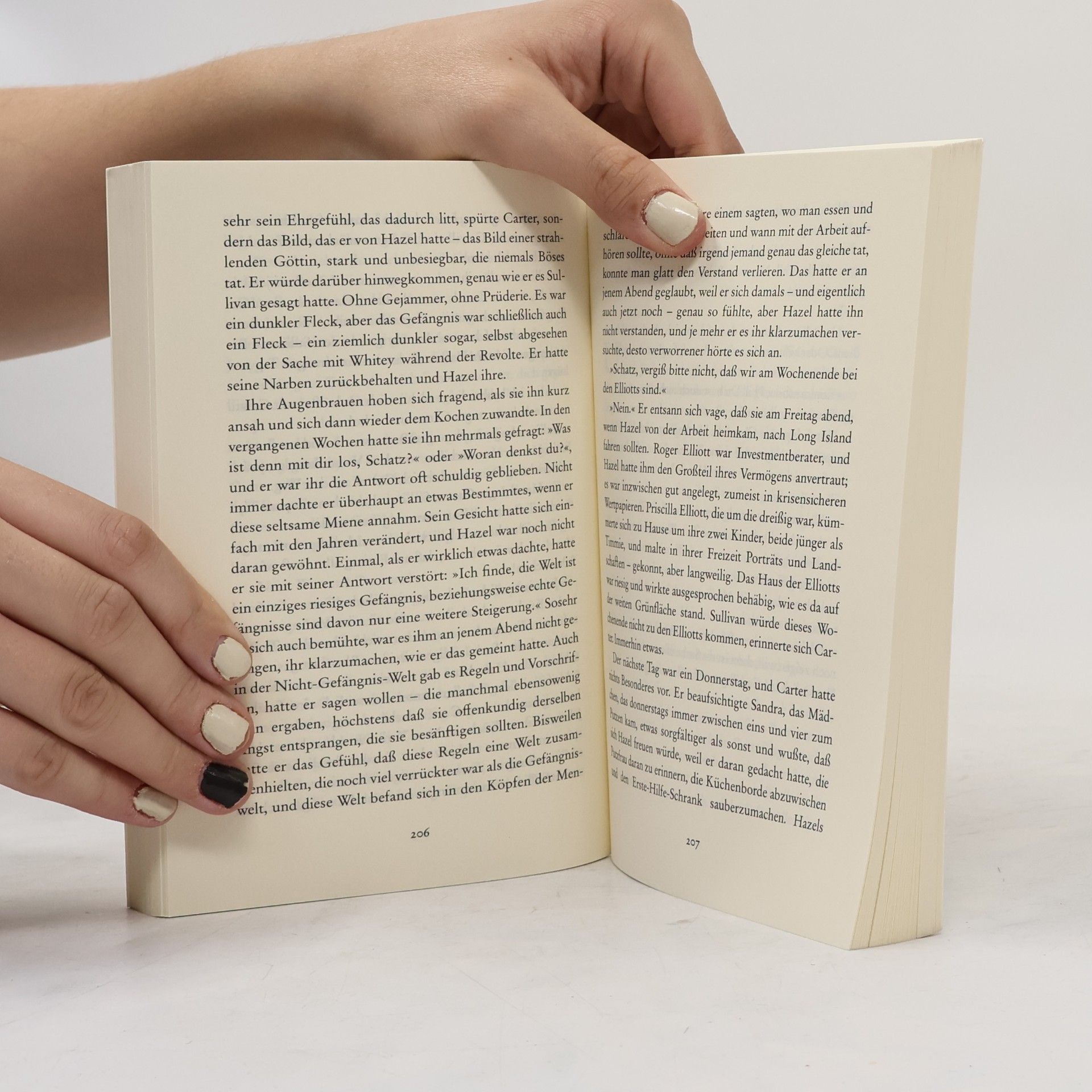 Patricia Highsmith Die gläserne Zelle