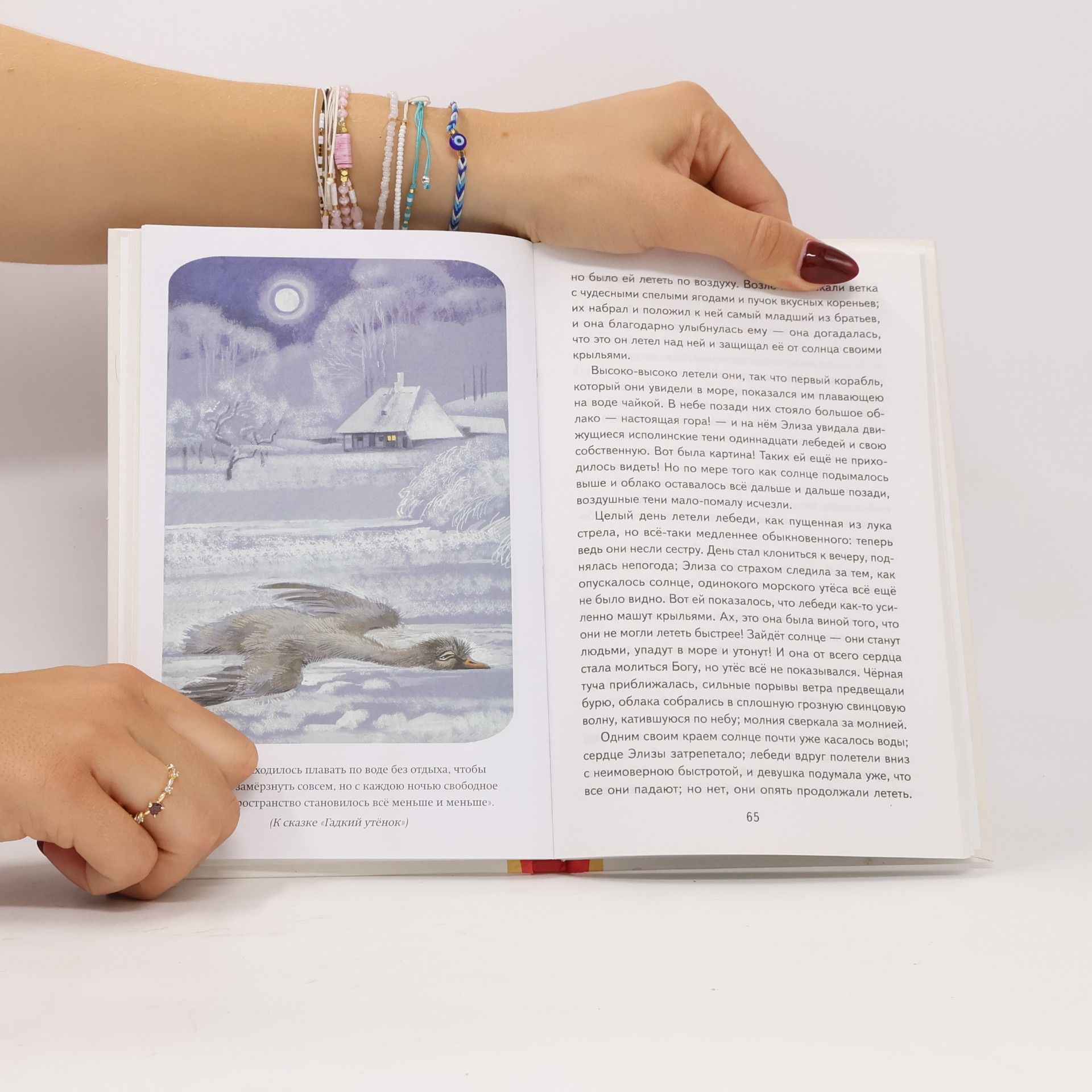Hans Christian Andersen Книги для внеклассного чтения: Дикие лебеди