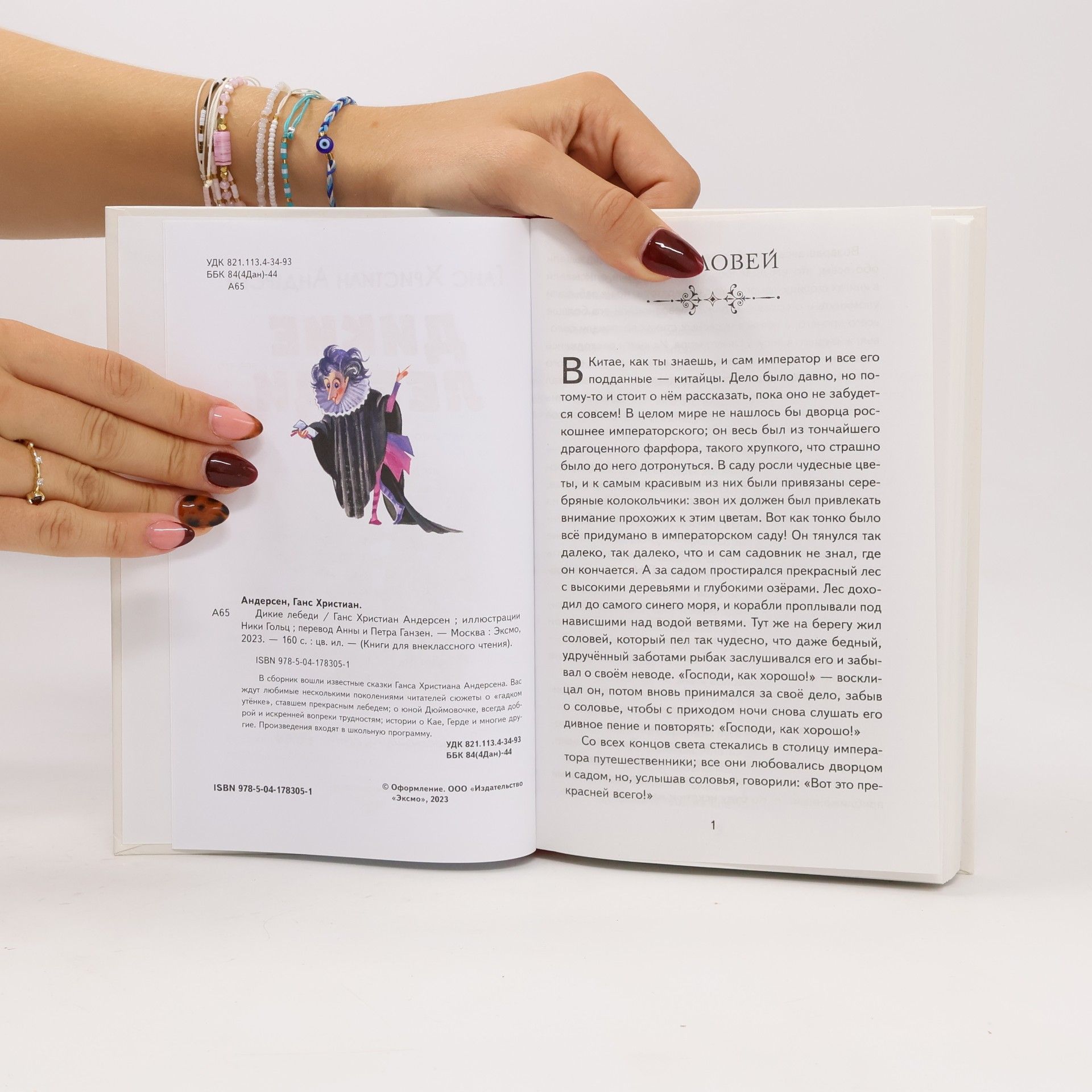Hans Christian Andersen Книги для внеклассного чтения: Дикие лебеди