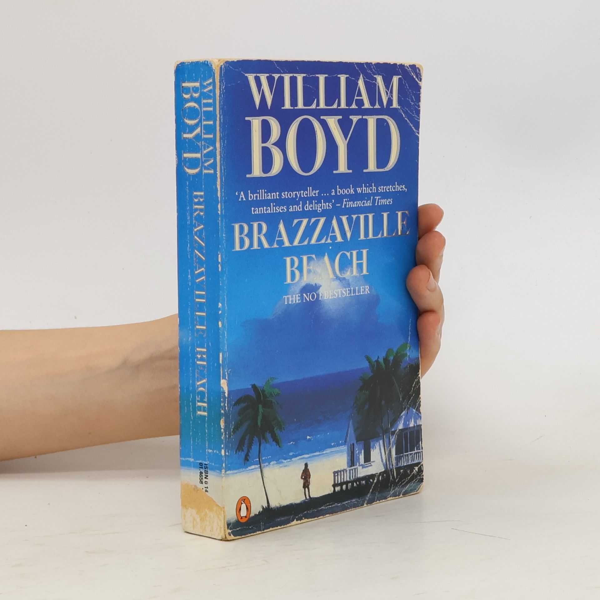 William Boyd Brazzaville Beach