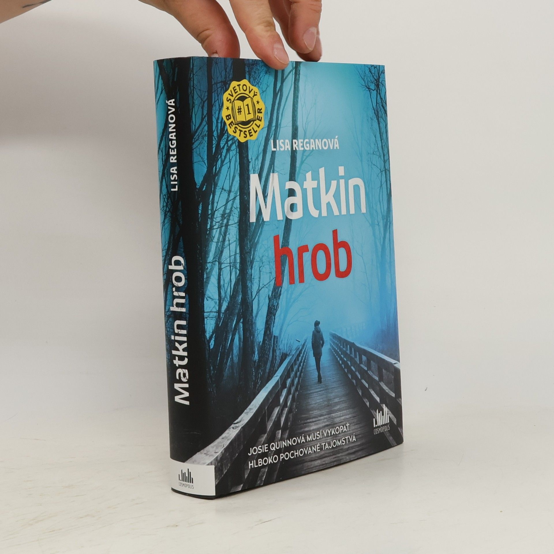 Lisa Regan Matkin hrob