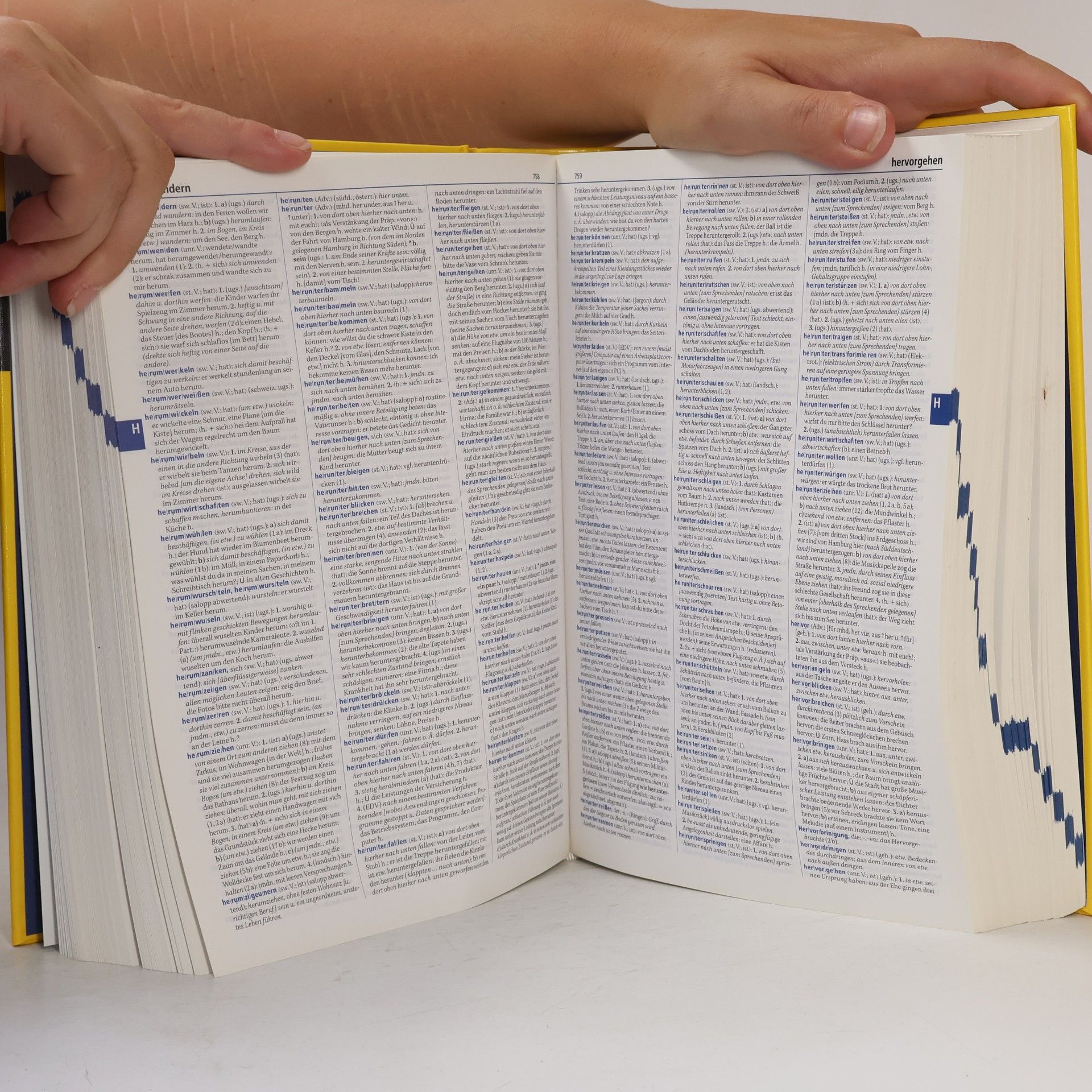 Anette Auberle Duden, Deutsches Universalwörterbuch