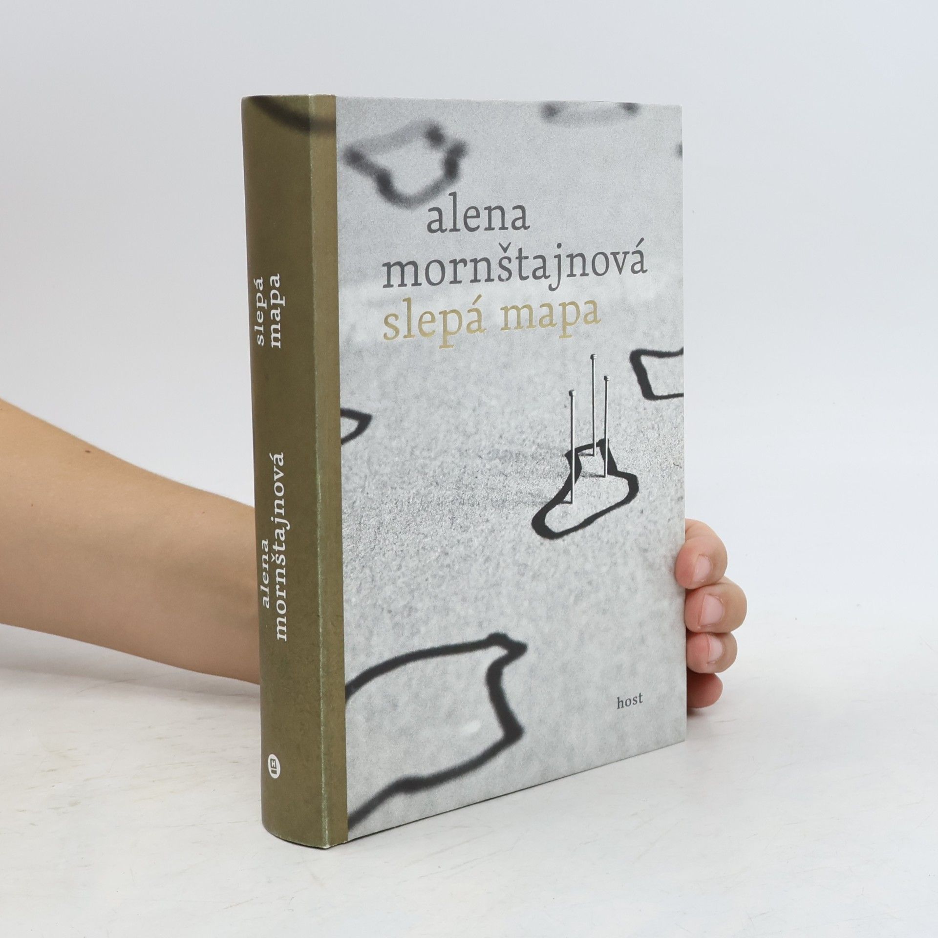 Alena Mornštajnová Slepá mapa