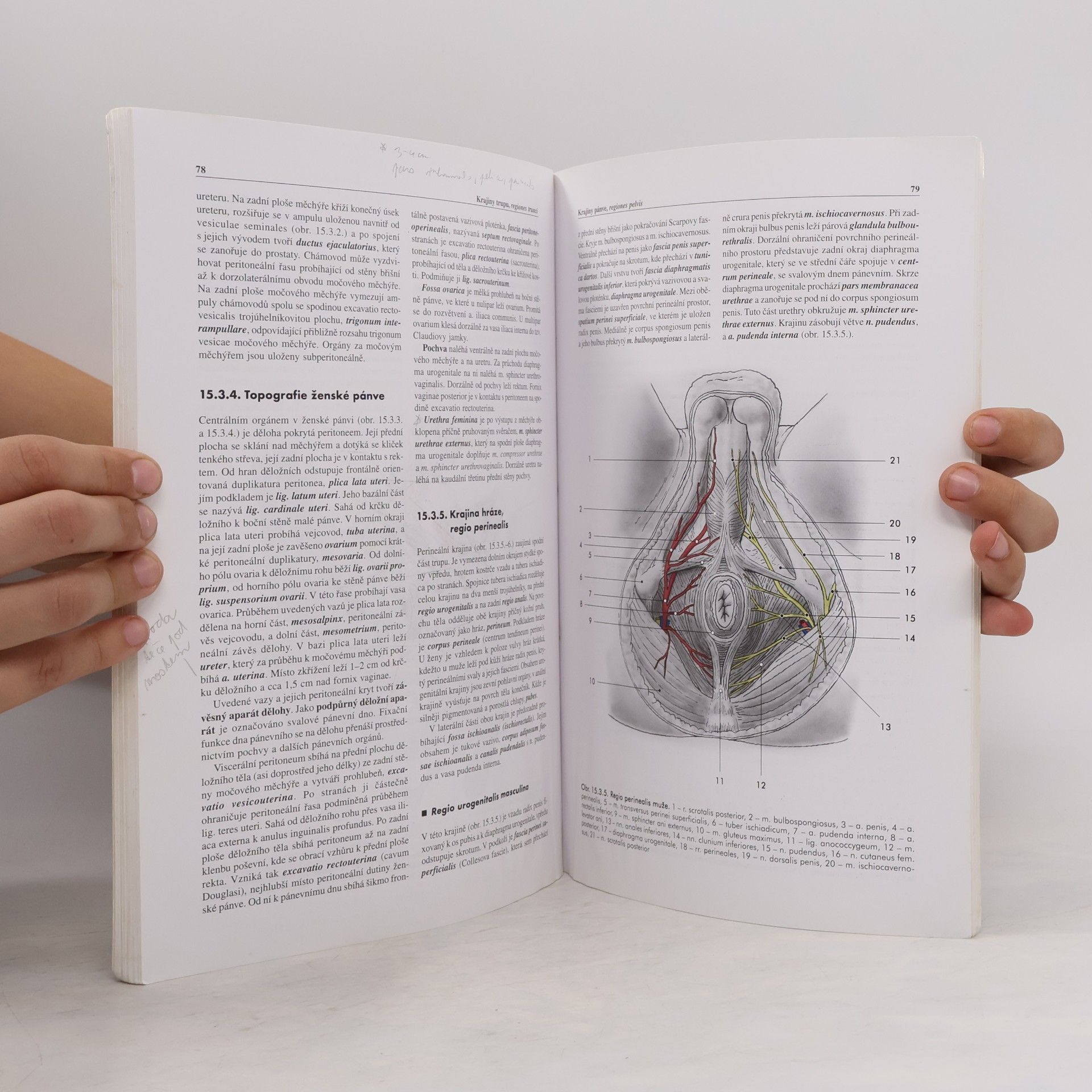 Miloš Grim Základy anatomie. 5., Anatomie krajin těla