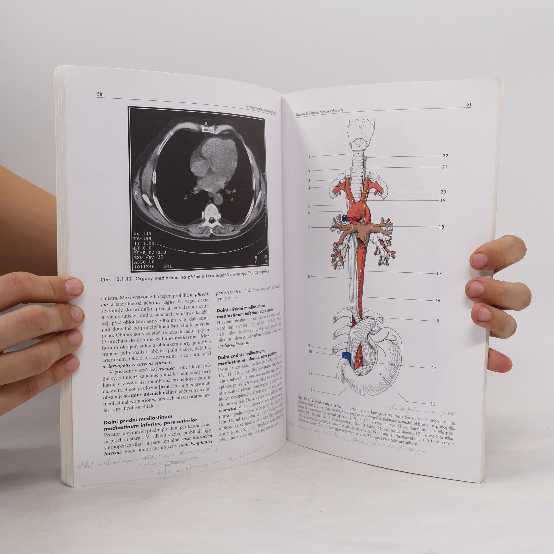 Miloš Grim Základy anatomie. 5., Anatomie krajin těla