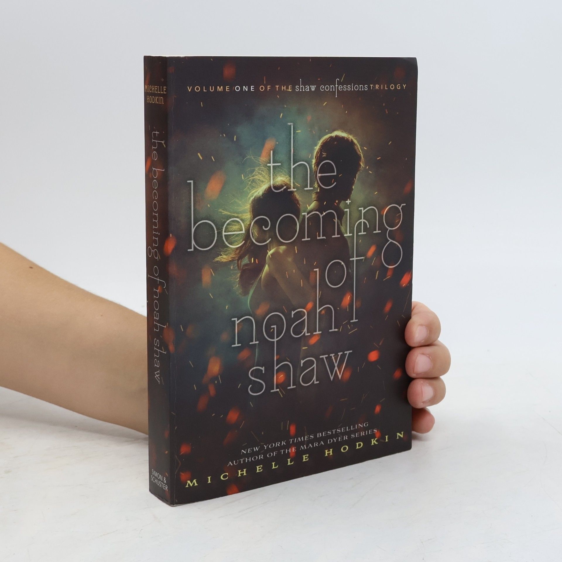 Michelle Hodkin The becoming of Noah Shaw