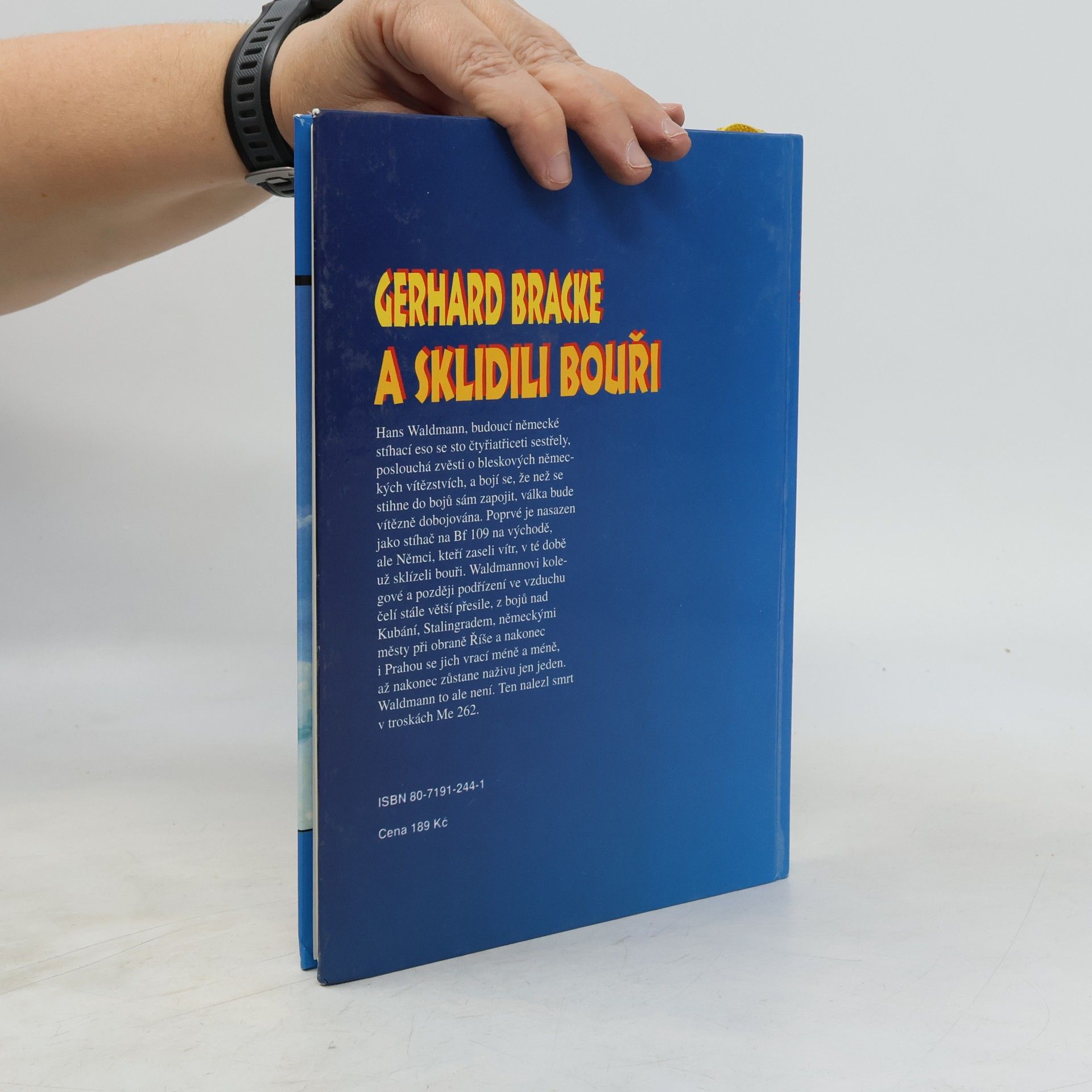 Gerhard Bracke A sklidili bouři