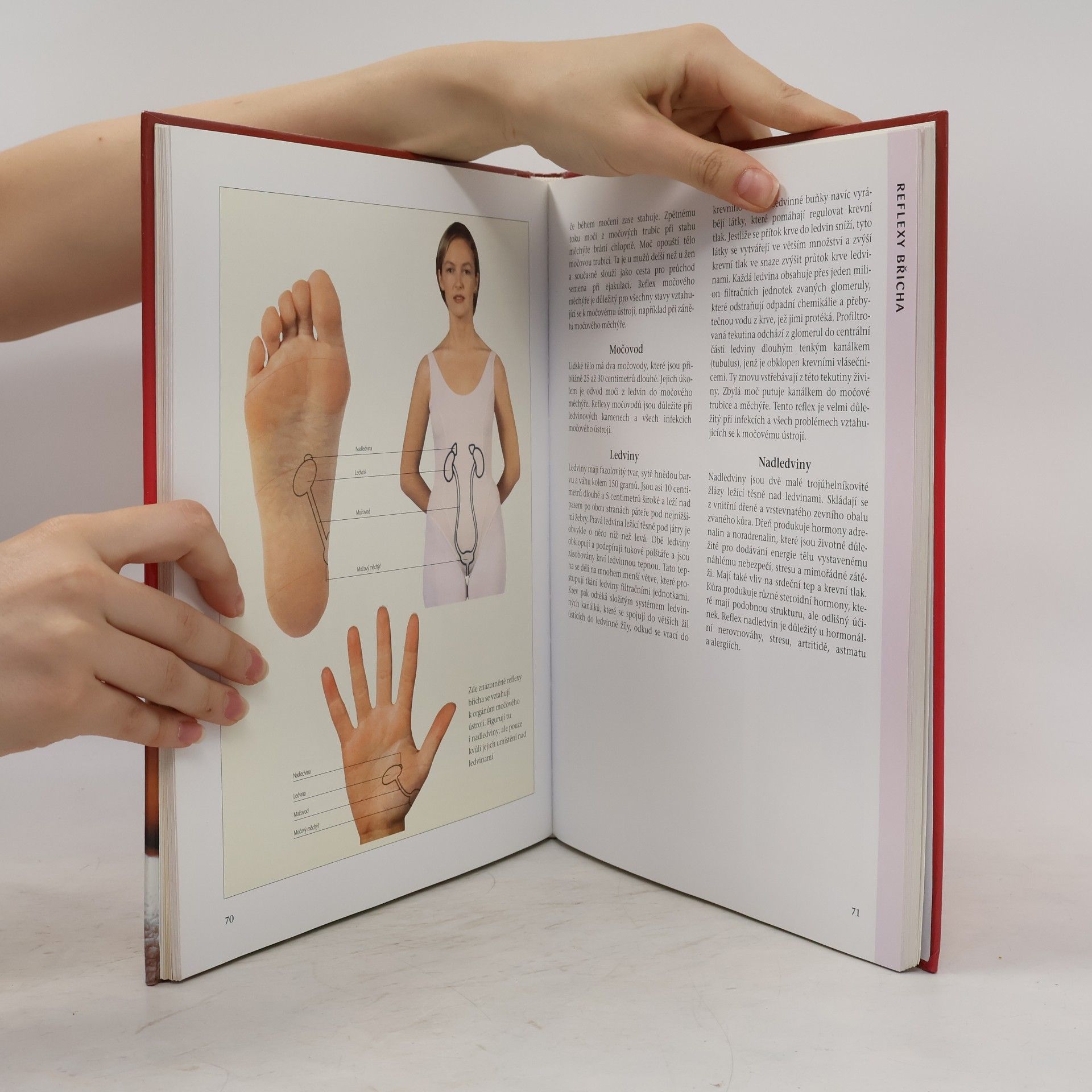 Pauline Wills Reflexologie