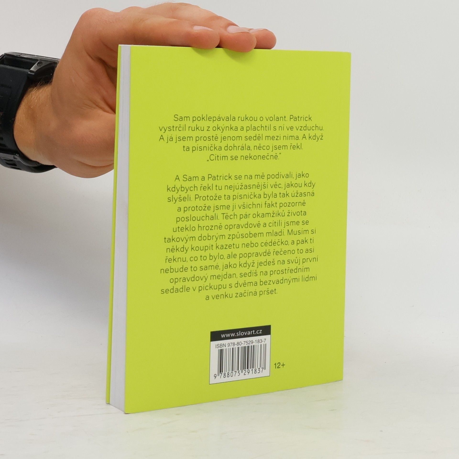 Stephen Chbosky Ten, kdo stojí v koutě