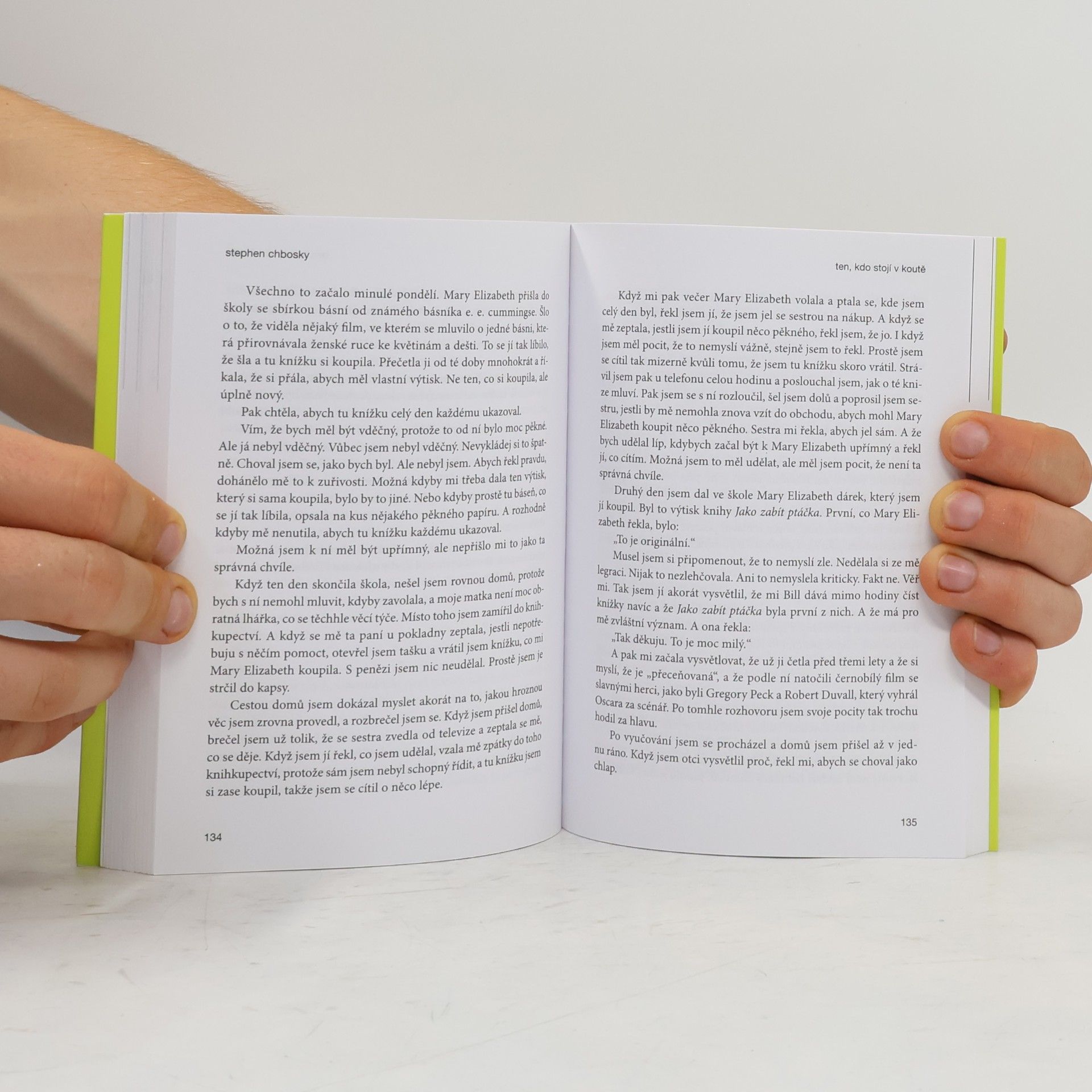 Stephen Chbosky Ten, kdo stojí v koutě