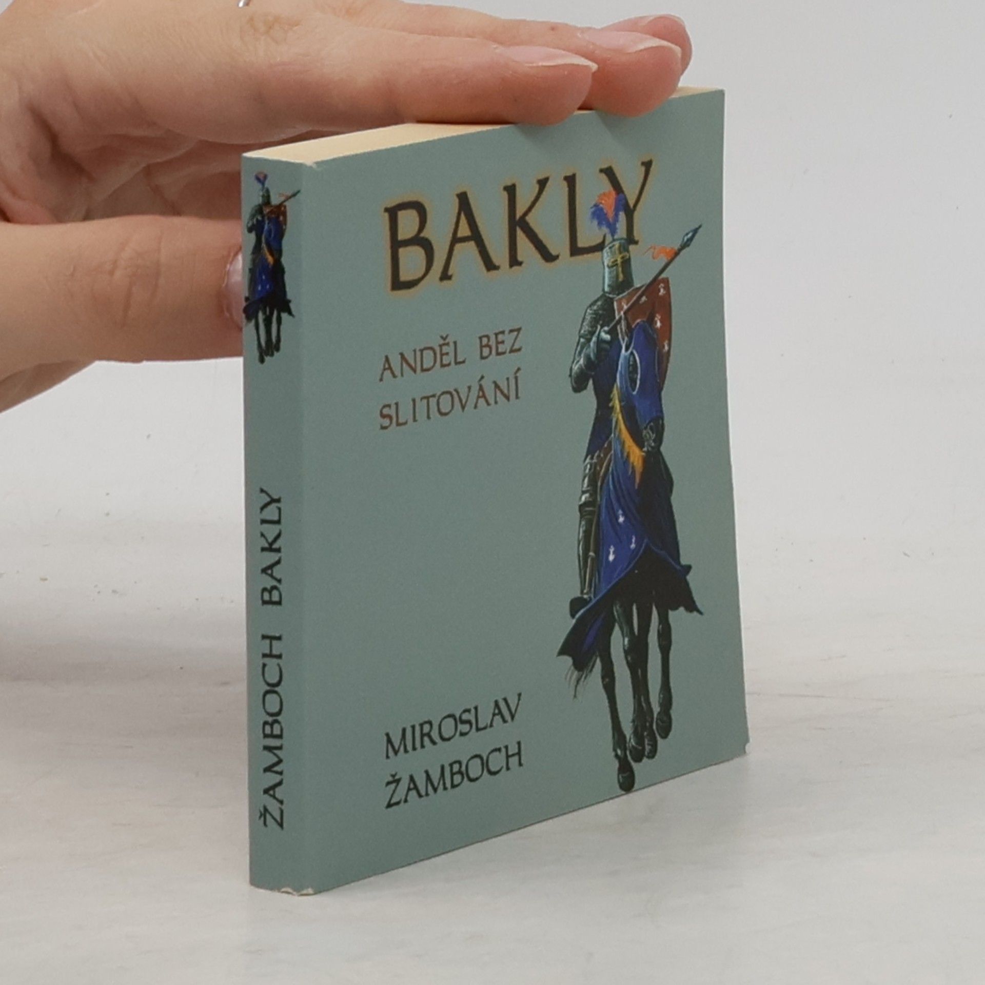 Miroslav Žamboch Anděl bez slitování