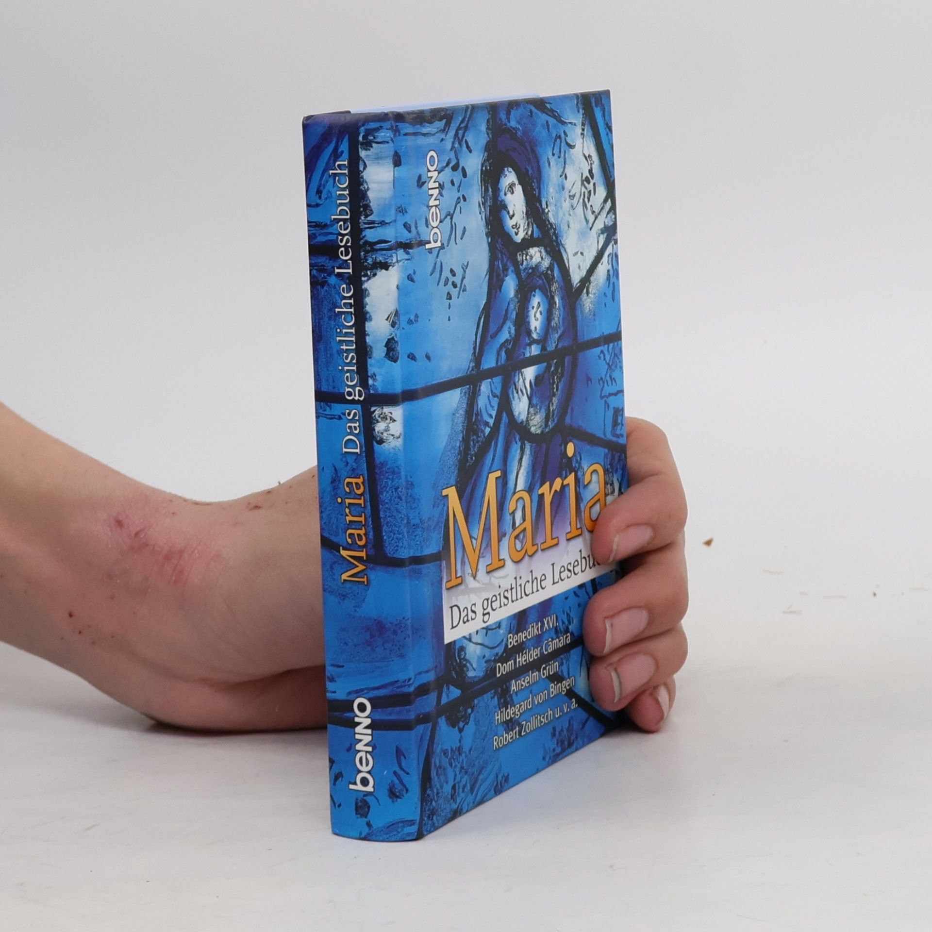 Dom Helder Camara Maria Das geistliche Lesebuch