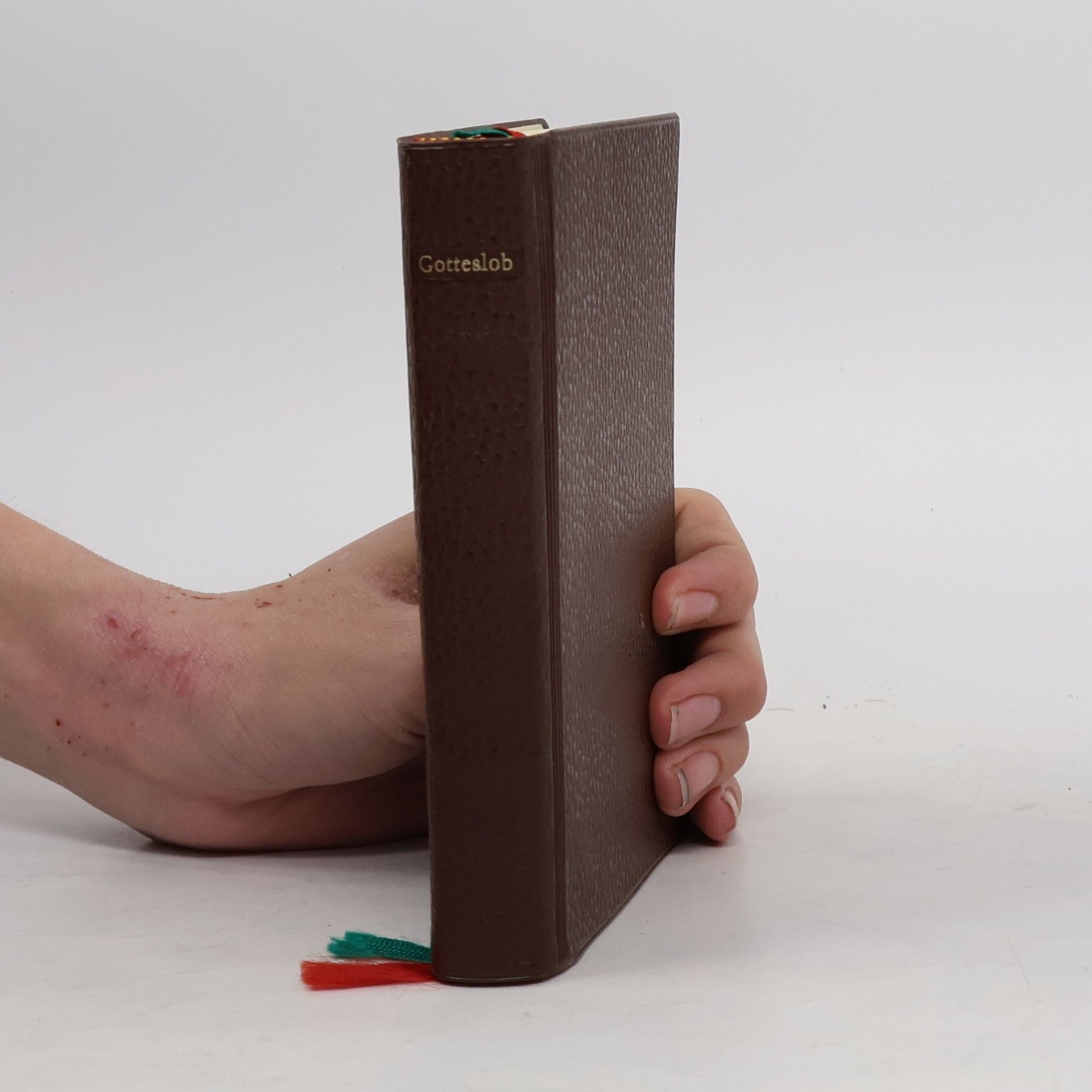 Kolektiv autorů Gotteslob. Katholisches Gebet und Gesangbuch