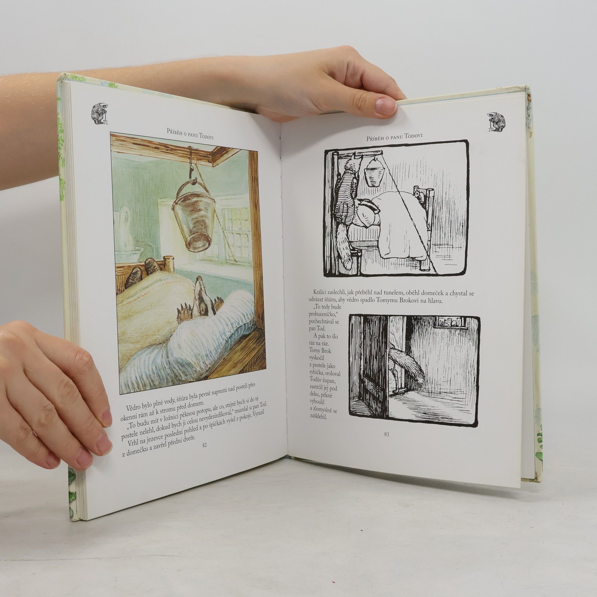 Beatrix Potter Dobrodružství králíčka Petra