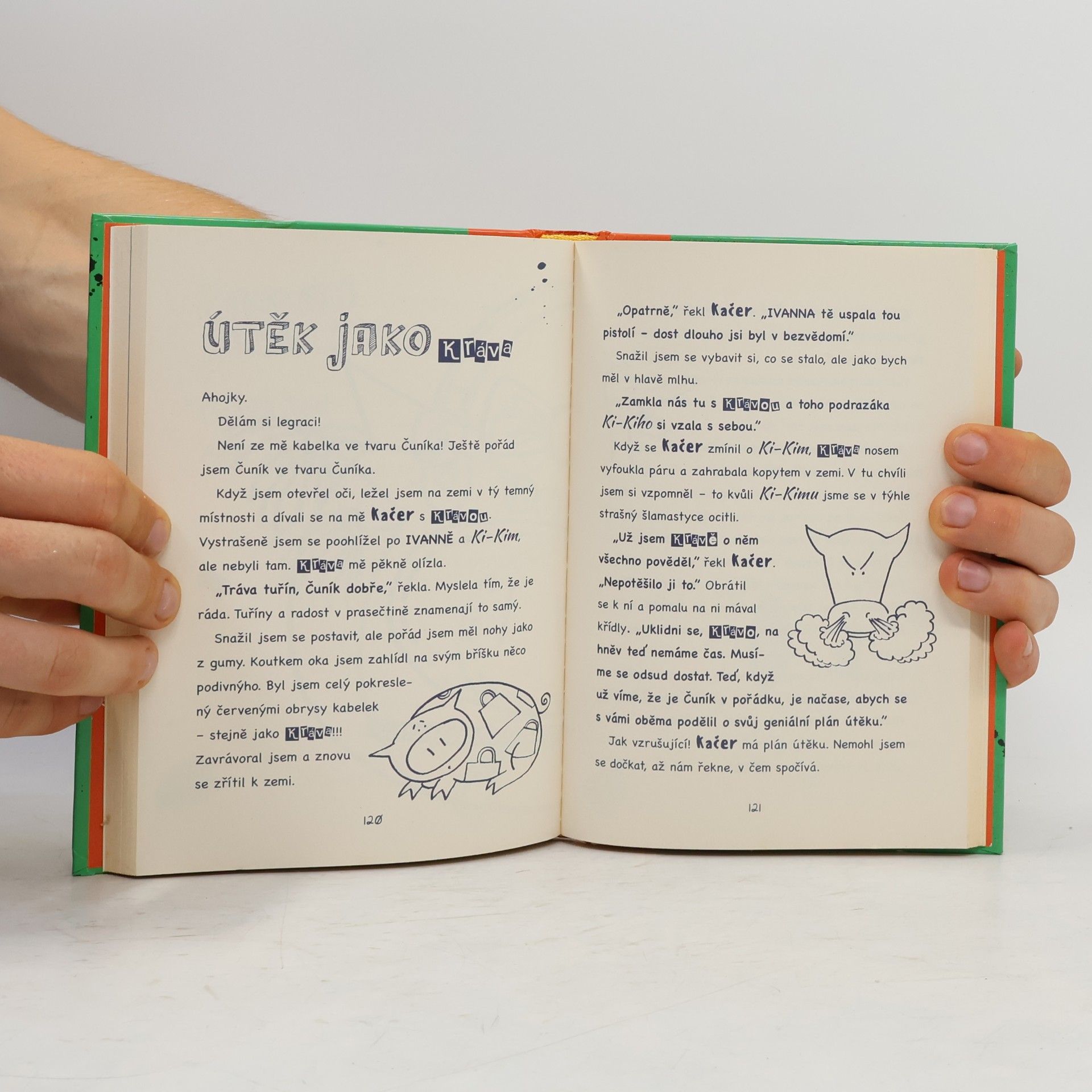 Emer Stamp Čuníkův neobyčejný deník
