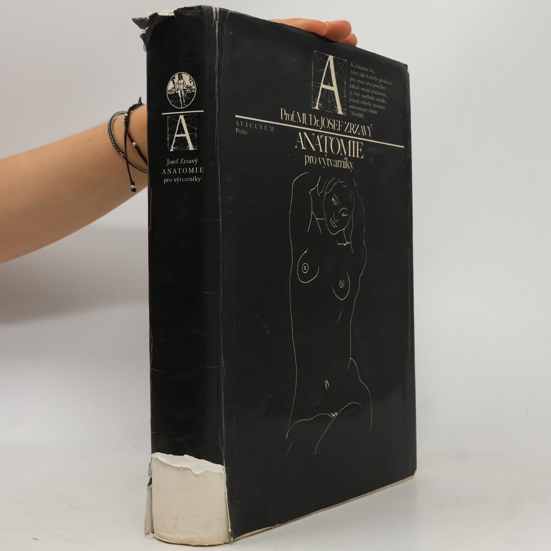 Josef Zrzavý Anatomie pro výtvarníky