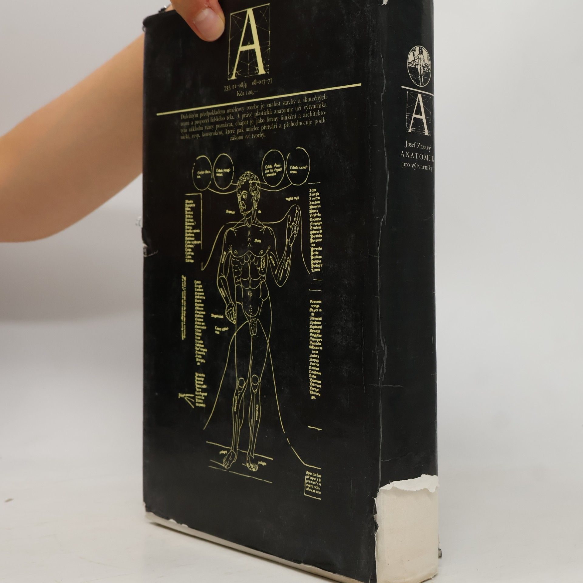 Josef Zrzavý Anatomie pro výtvarníky