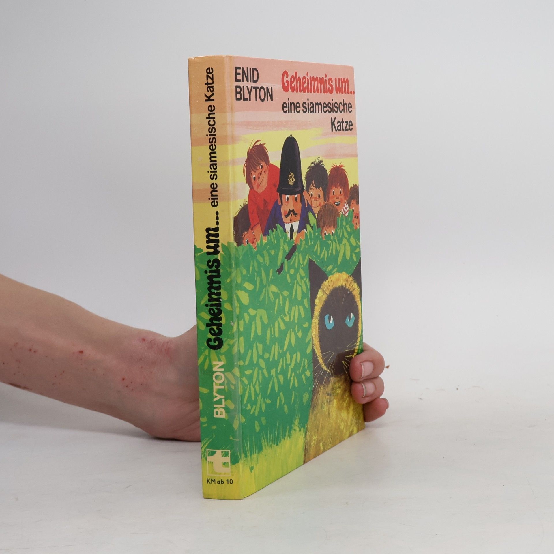 Enid Blyton Geheimnis um... eine siamesische Katze