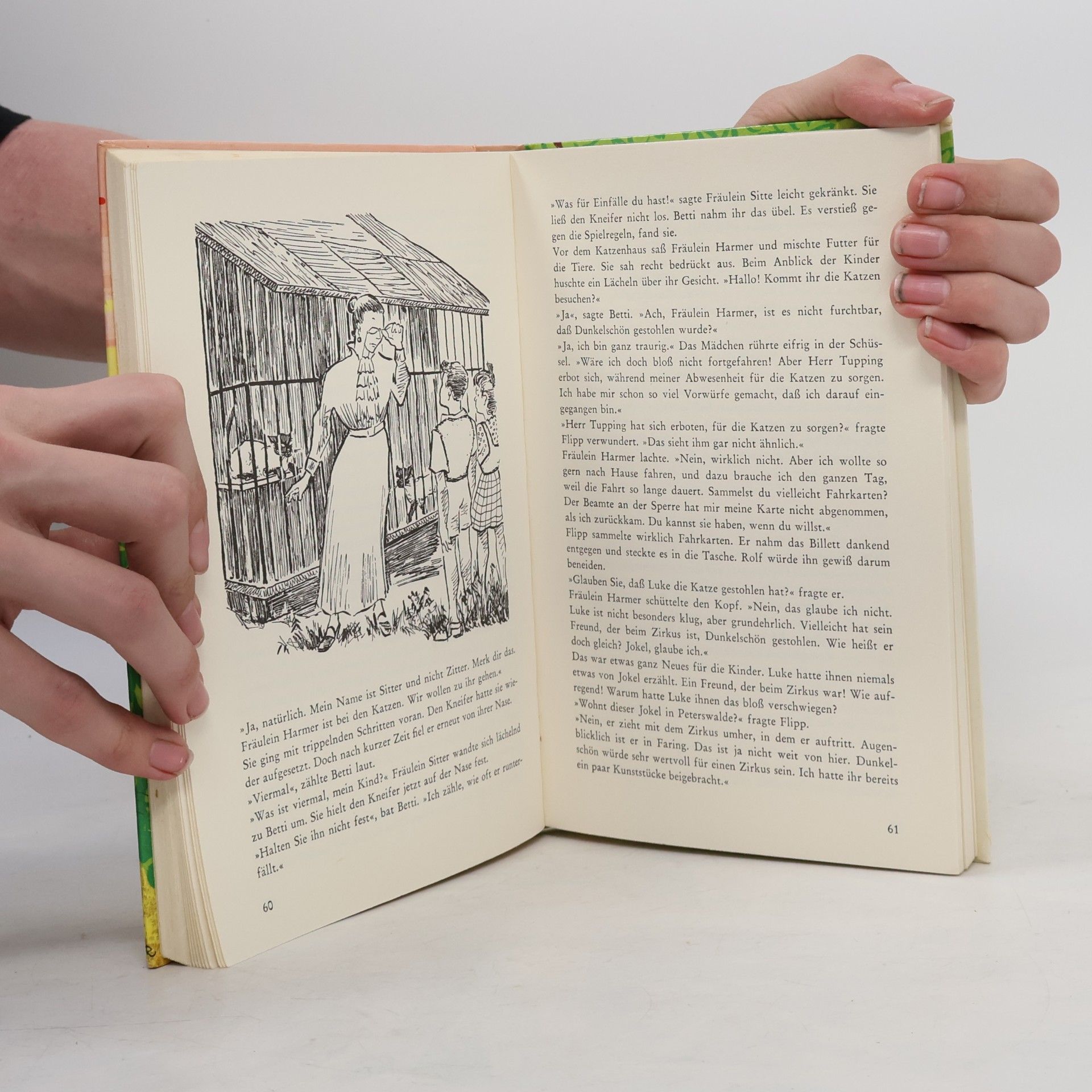 Enid Blyton Geheimnis um... eine siamesische Katze